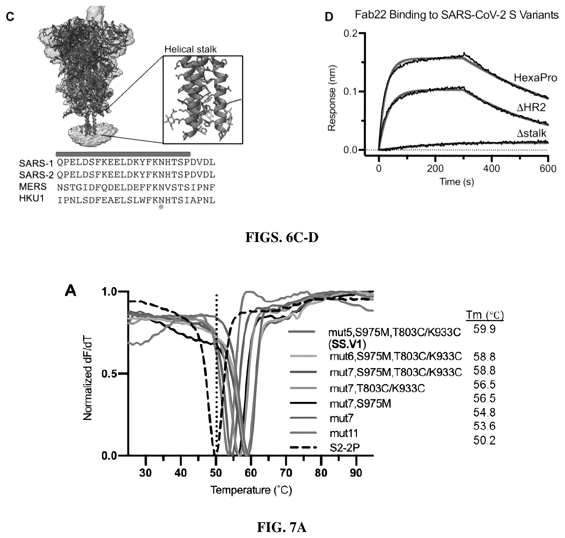 Patent US12616747 Figure 8 – Stabilized beta-coronavirus antigens