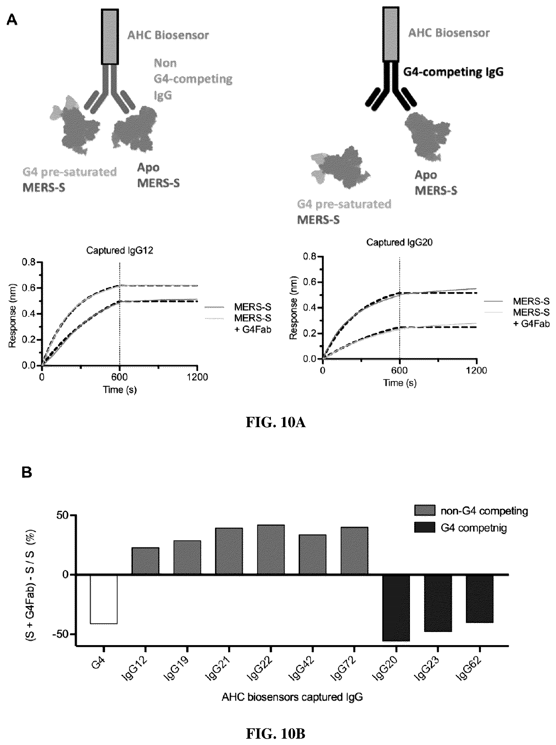 Patent US12616747 Figure 12 – Stabilized beta-coronavirus antigens