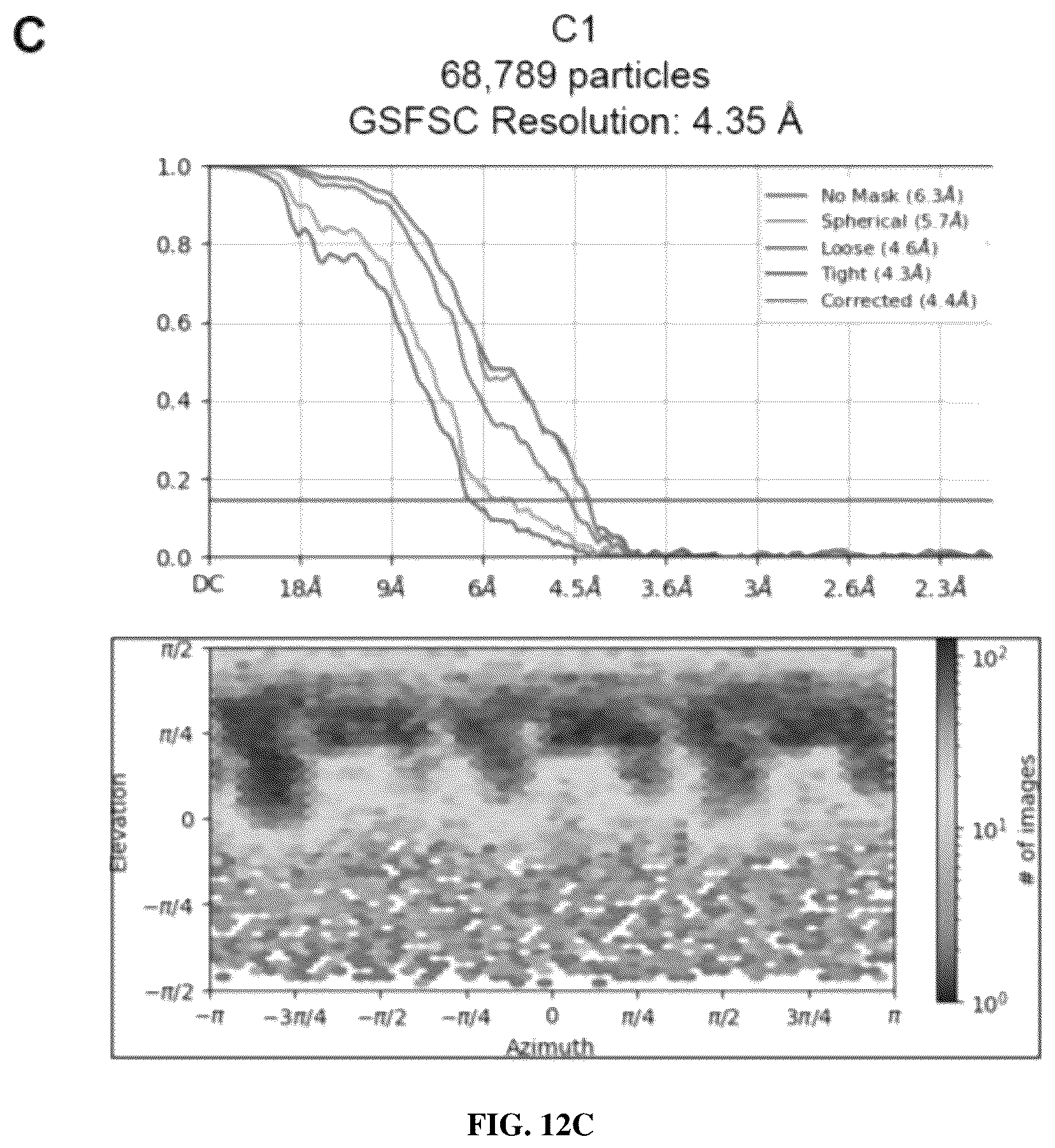 Patent US12616747 Figure 16 – Stabilized beta-coronavirus antigens