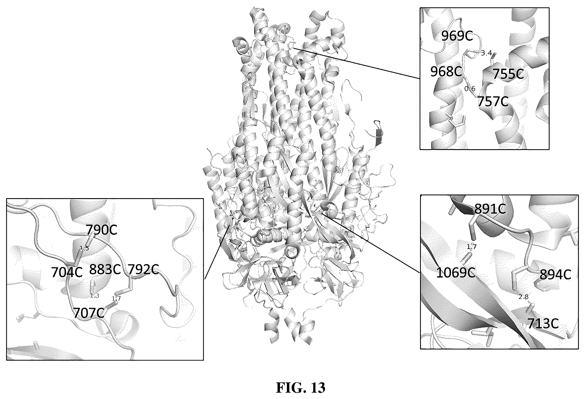Patent US12616747 Figure 17 – Stabilized beta-coronavirus antigens
