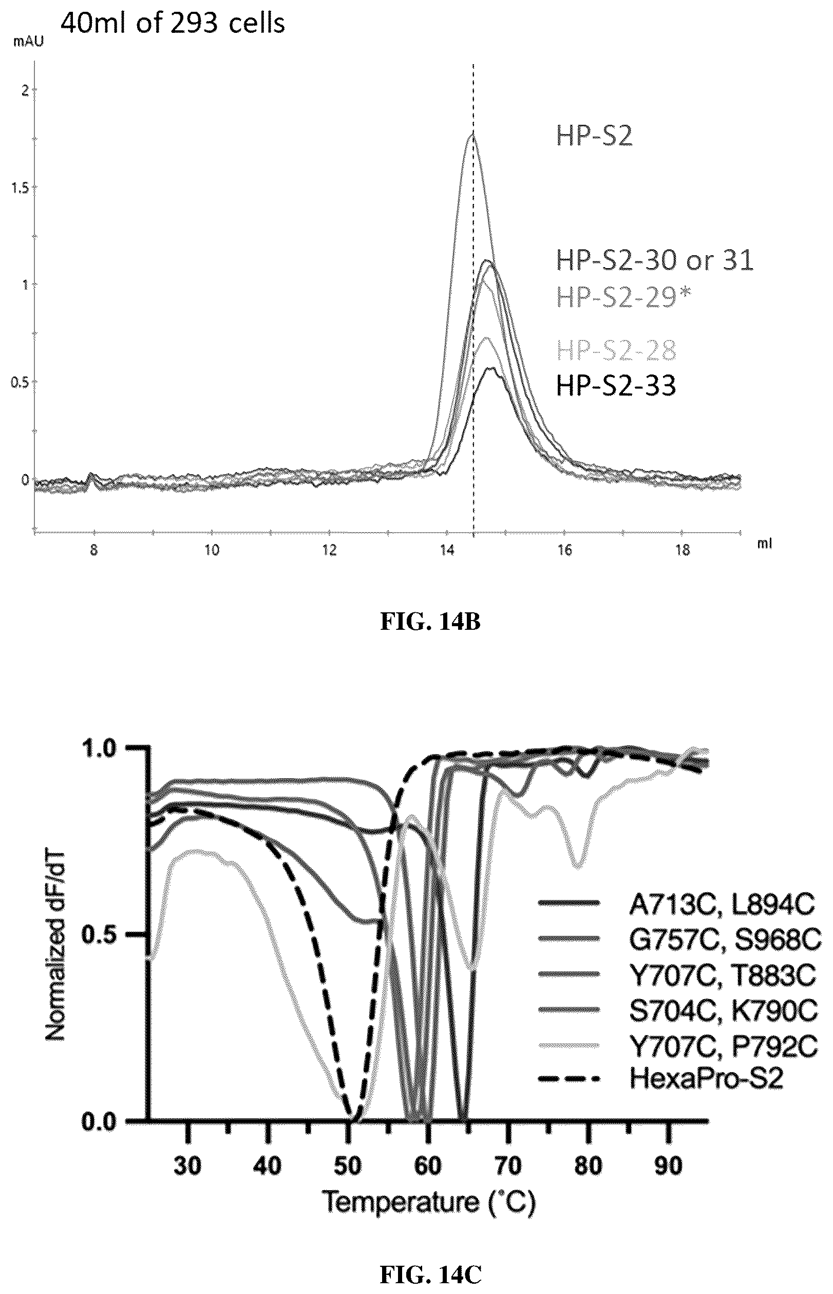 Patent US12616747 Figure 19 – Stabilized beta-coronavirus antigens