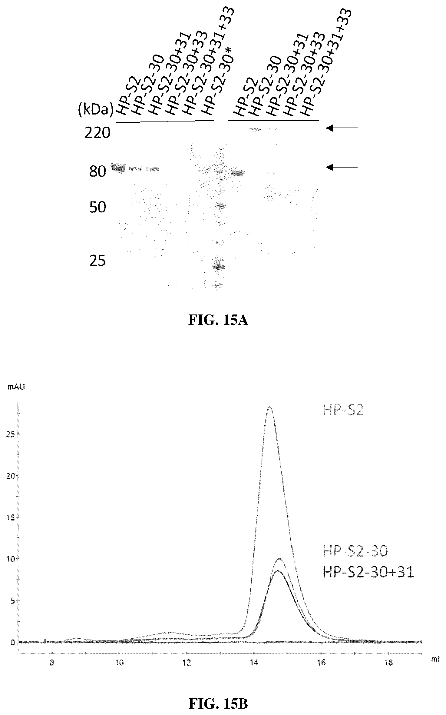 Patent US12616747 Figure 20 – Stabilized beta-coronavirus antigens