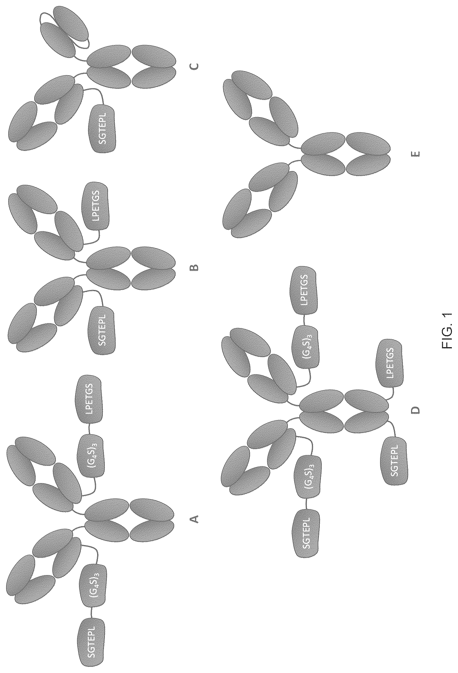 Patent US12616750 Figure 1 – Combination therapy utilizing DNA alkylating agents and ATR inhibitors