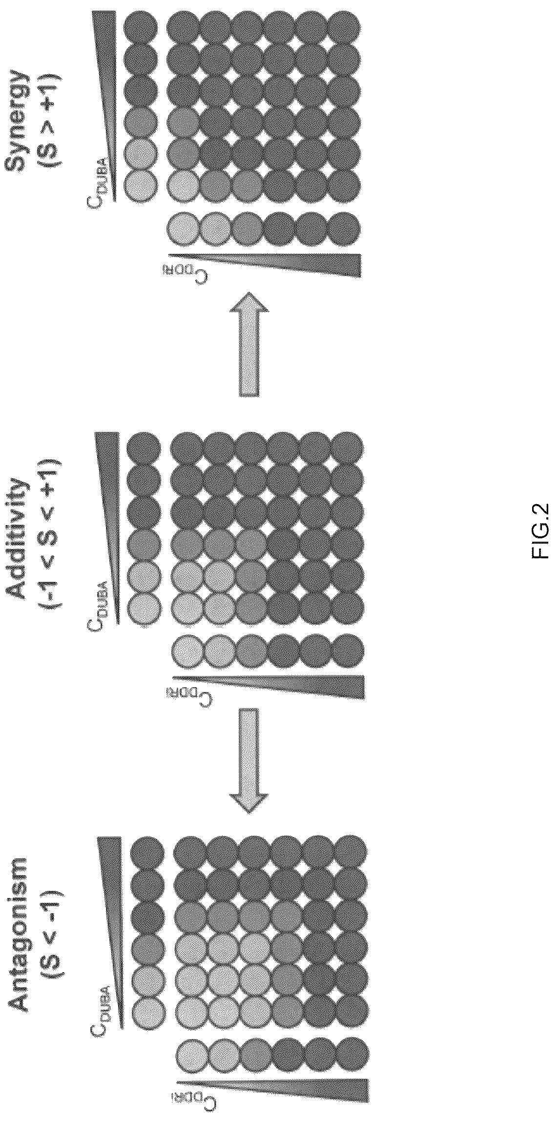 Patent US12616750 Figure 2 – Combination therapy utilizing DNA alkylating agents and ATR inhibitors