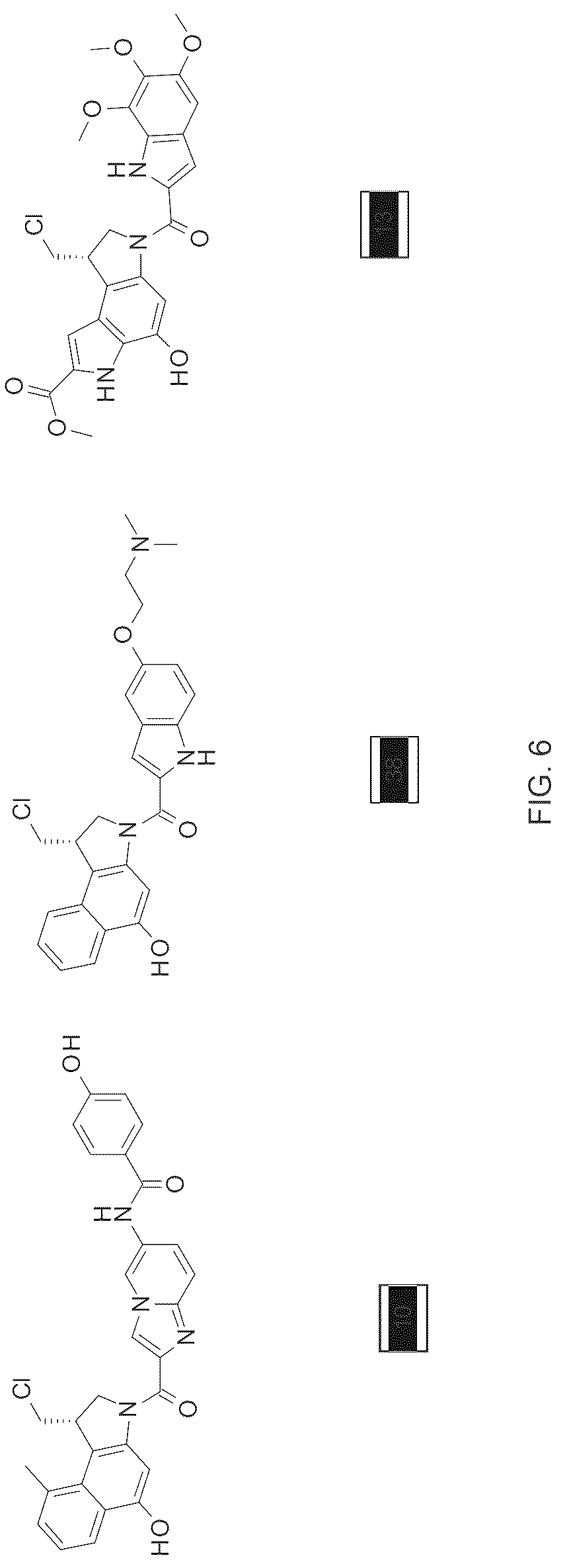 Patent US12616750 Figure 6 – Combination therapy utilizing DNA alkylating agents and ATR inhibitors