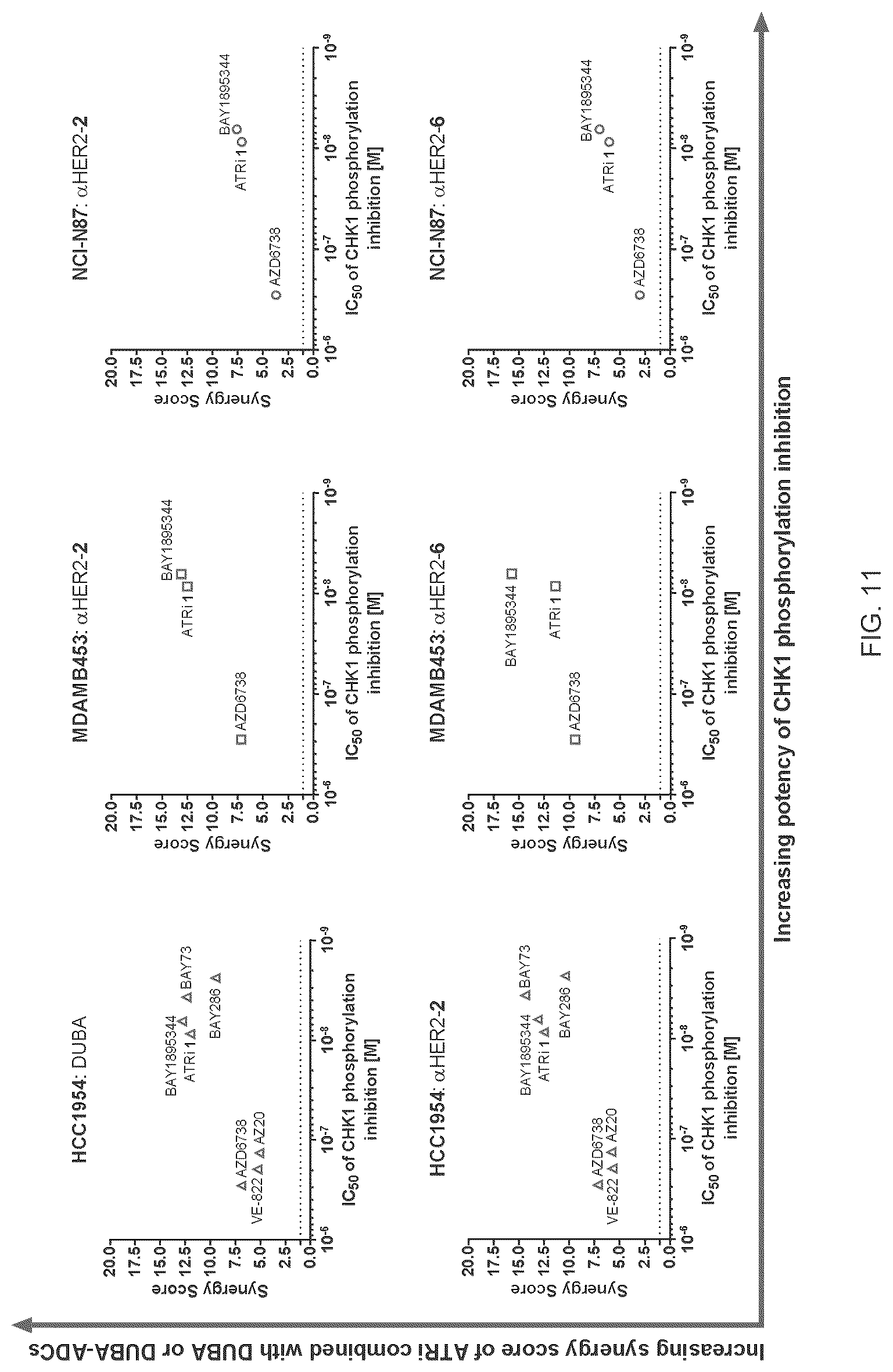 Patent US12616750 Figure 11 – Combination therapy utilizing DNA alkylating agents and ATR inhibitors