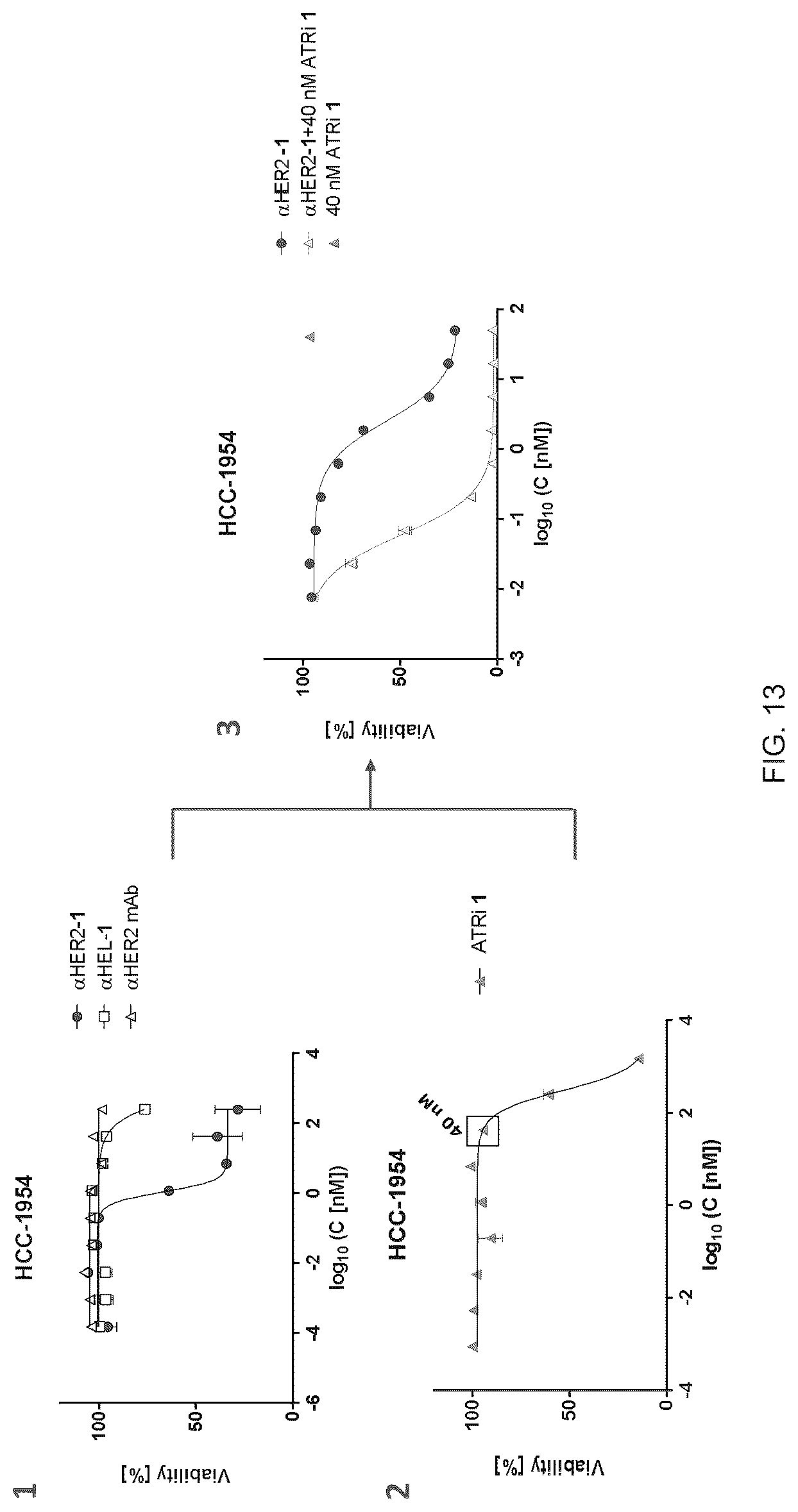 Patent US12616750 Figure 13 – Combination therapy utilizing DNA alkylating agents and ATR inhibitors