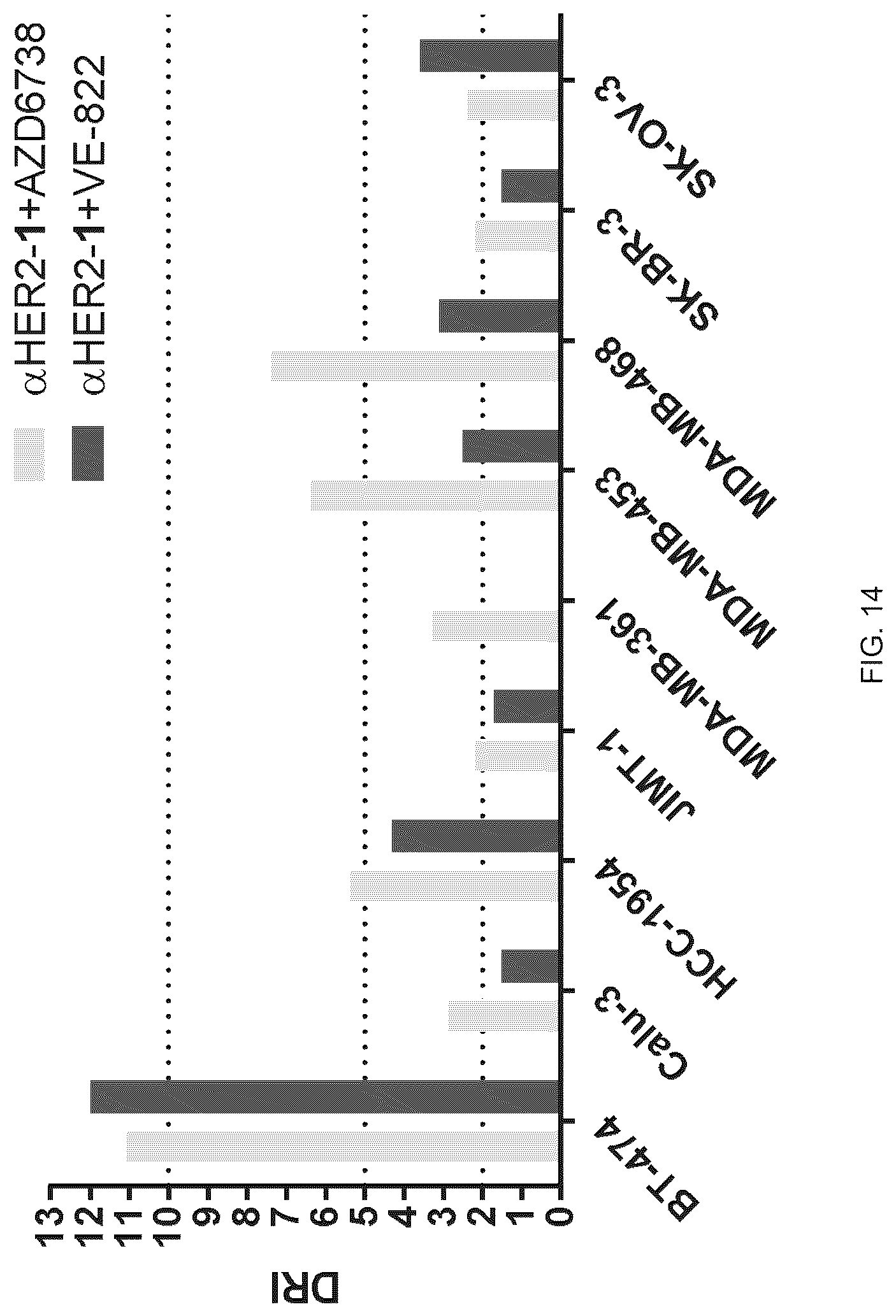 Patent US12616750 Figure 14 – Combination therapy utilizing DNA alkylating agents and ATR inhibitors