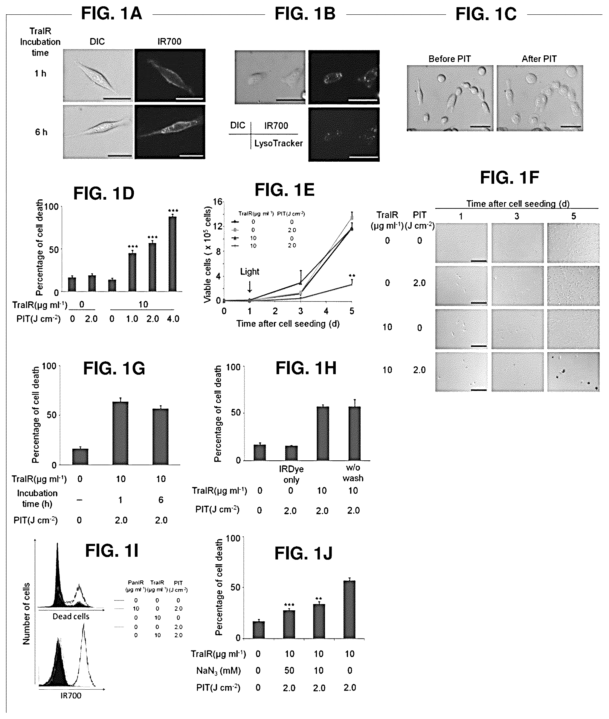 Patent US12616751 Figure 1 – Photosensitizing antibody-fluorophore conjugates