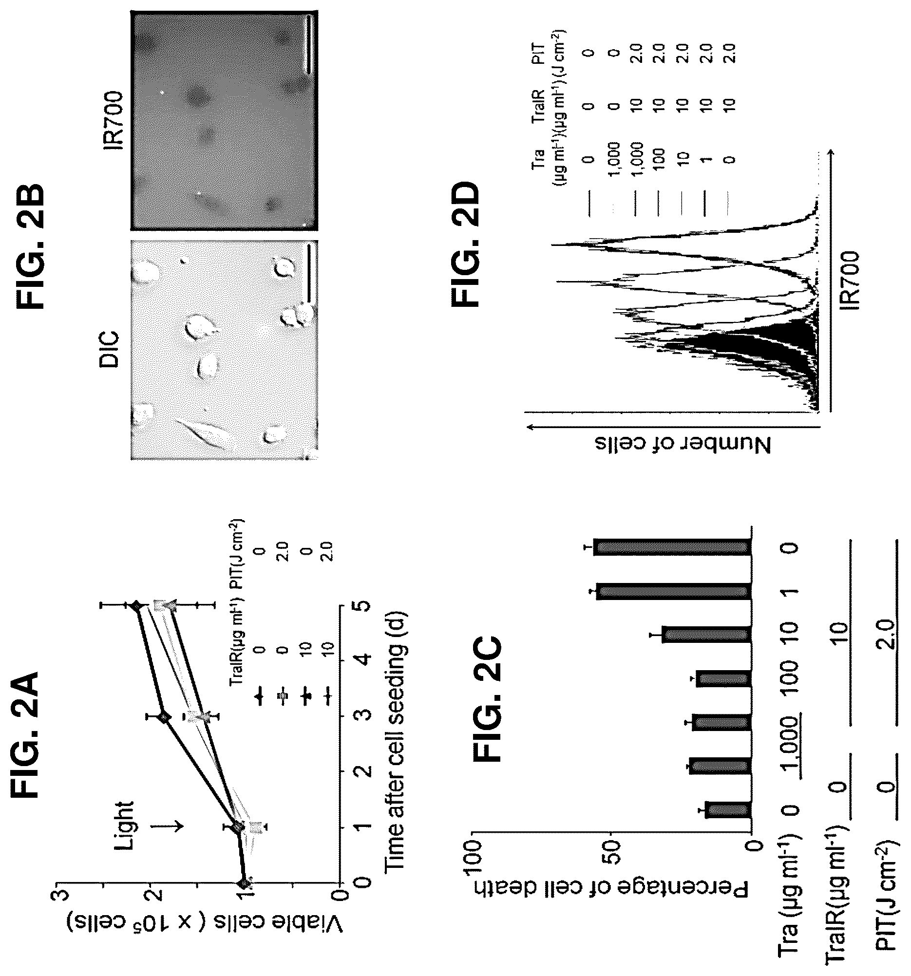 Patent US12616751 Figure 2 – Photosensitizing antibody-fluorophore conjugates