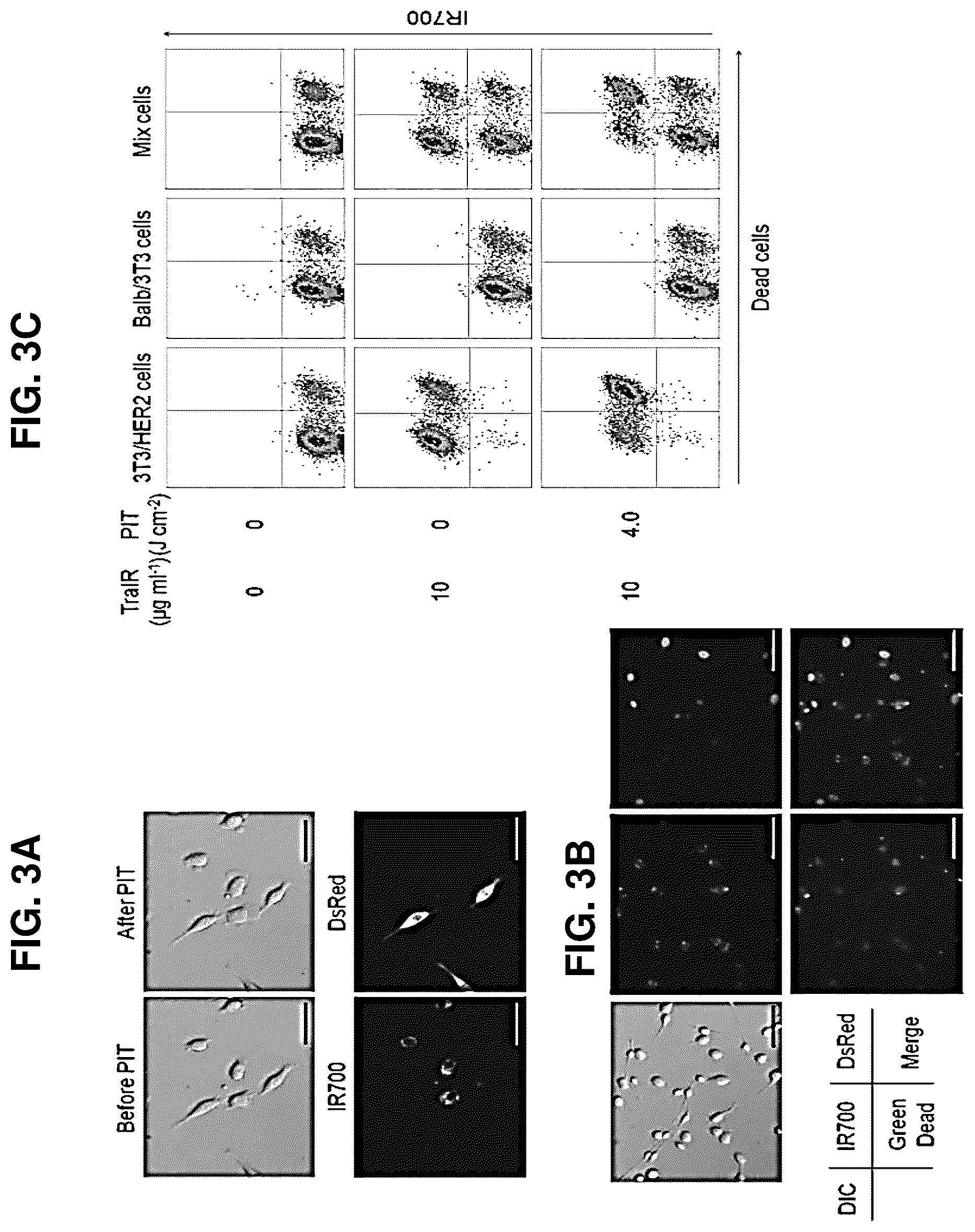 Patent US12616751 Figure 3 – Photosensitizing antibody-fluorophore conjugates