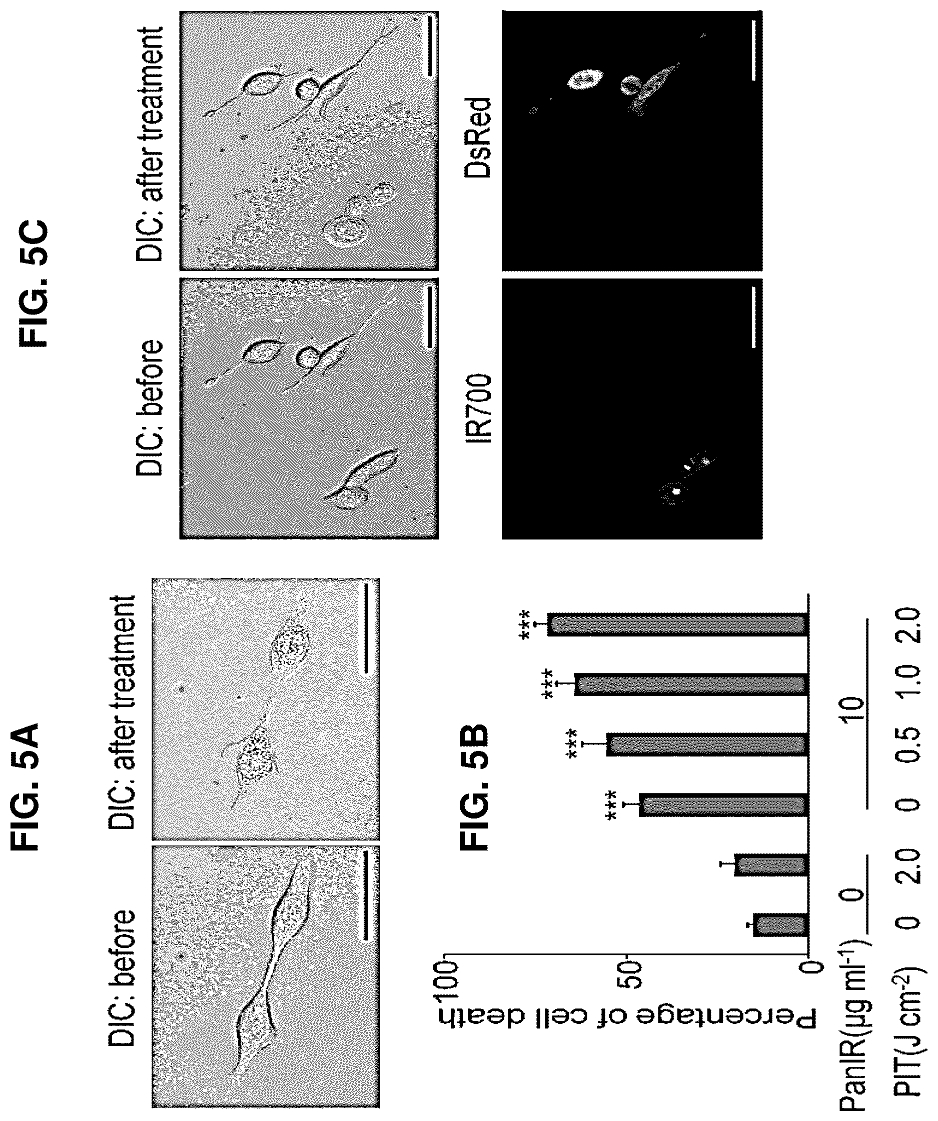 Patent US12616751 Figure 5 – Photosensitizing antibody-fluorophore conjugates