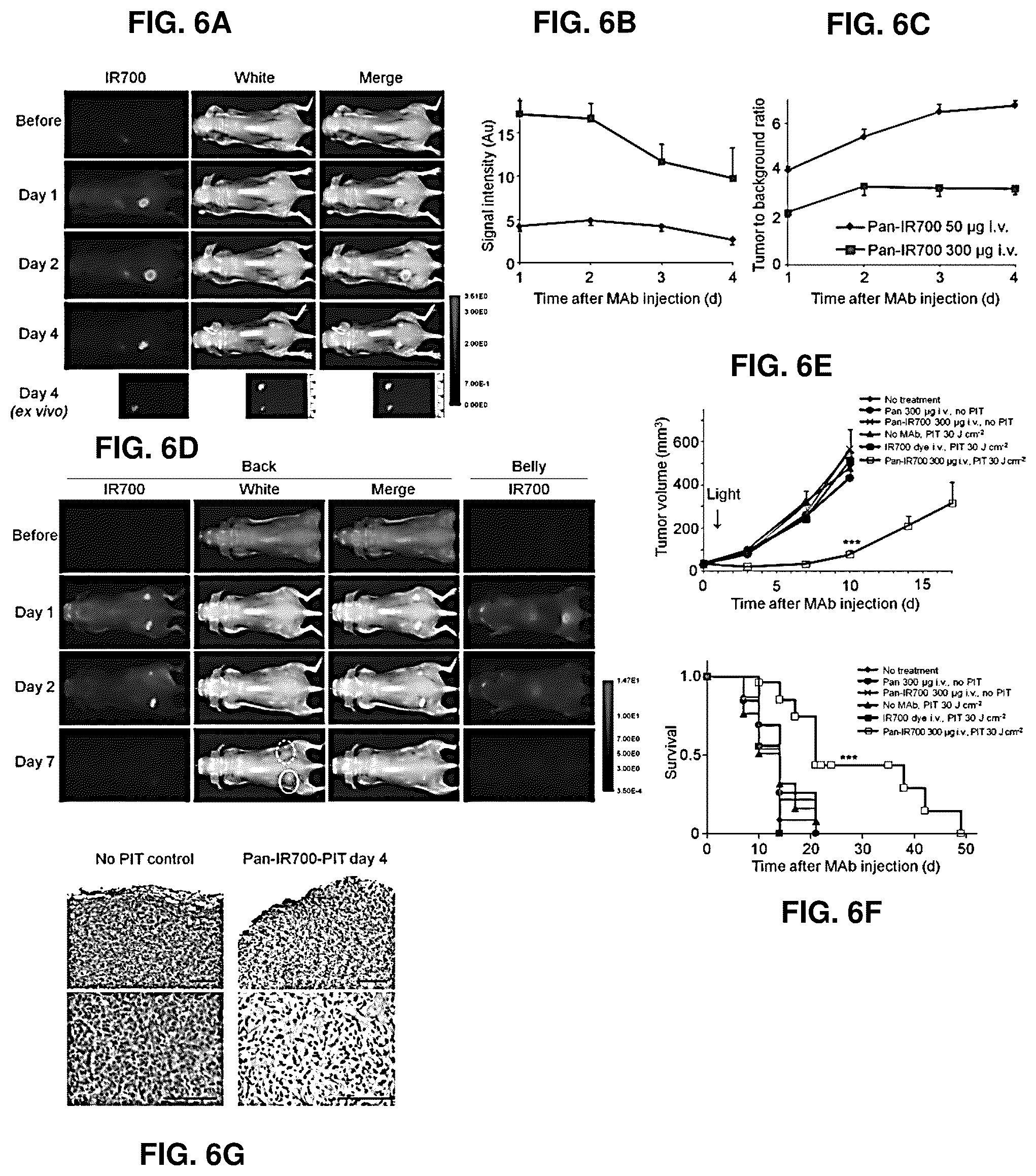 Patent US12616751 Figure 6 – Photosensitizing antibody-fluorophore conjugates