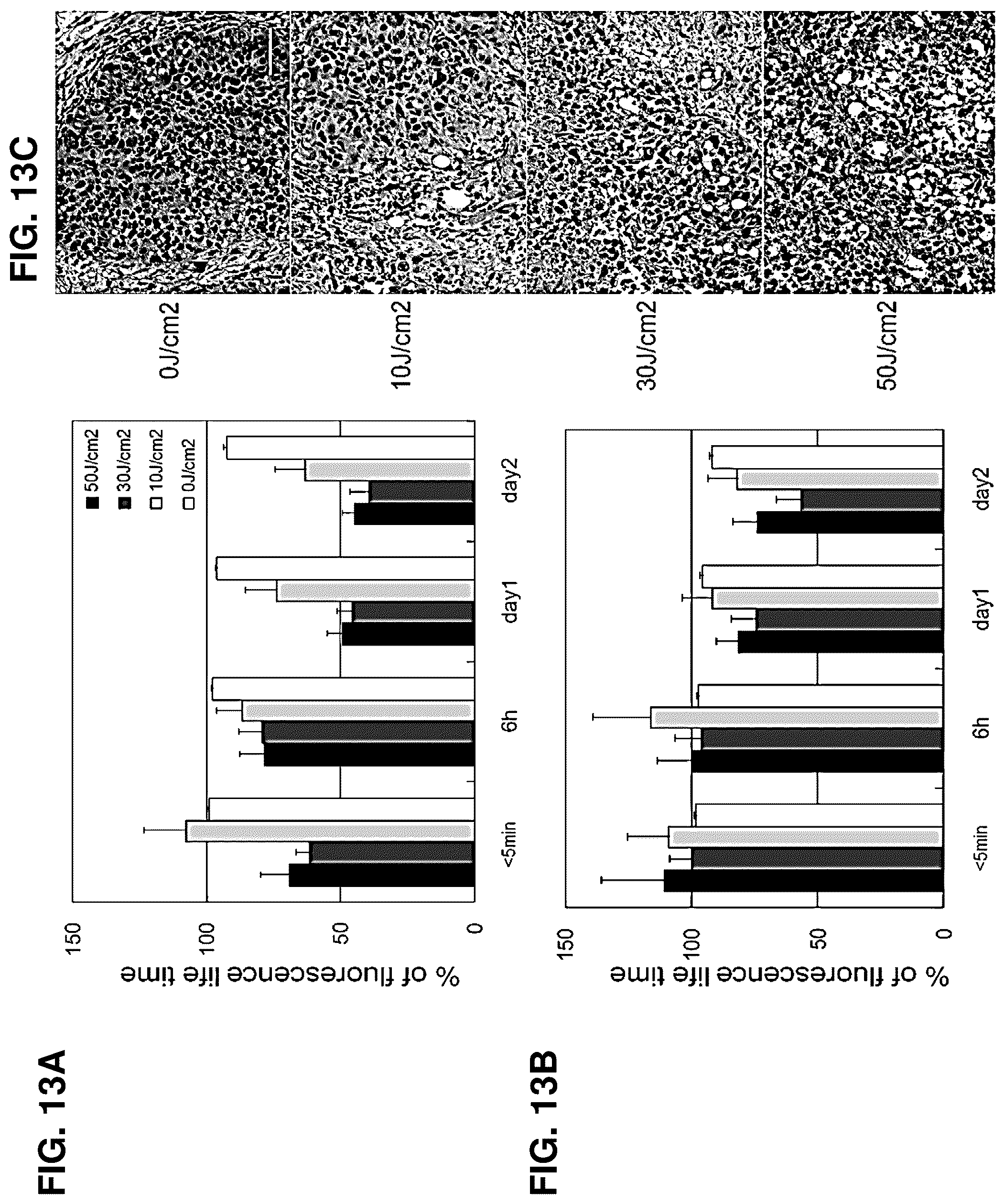 Patent US12616751 Figure 14 – Photosensitizing antibody-fluorophore conjugates