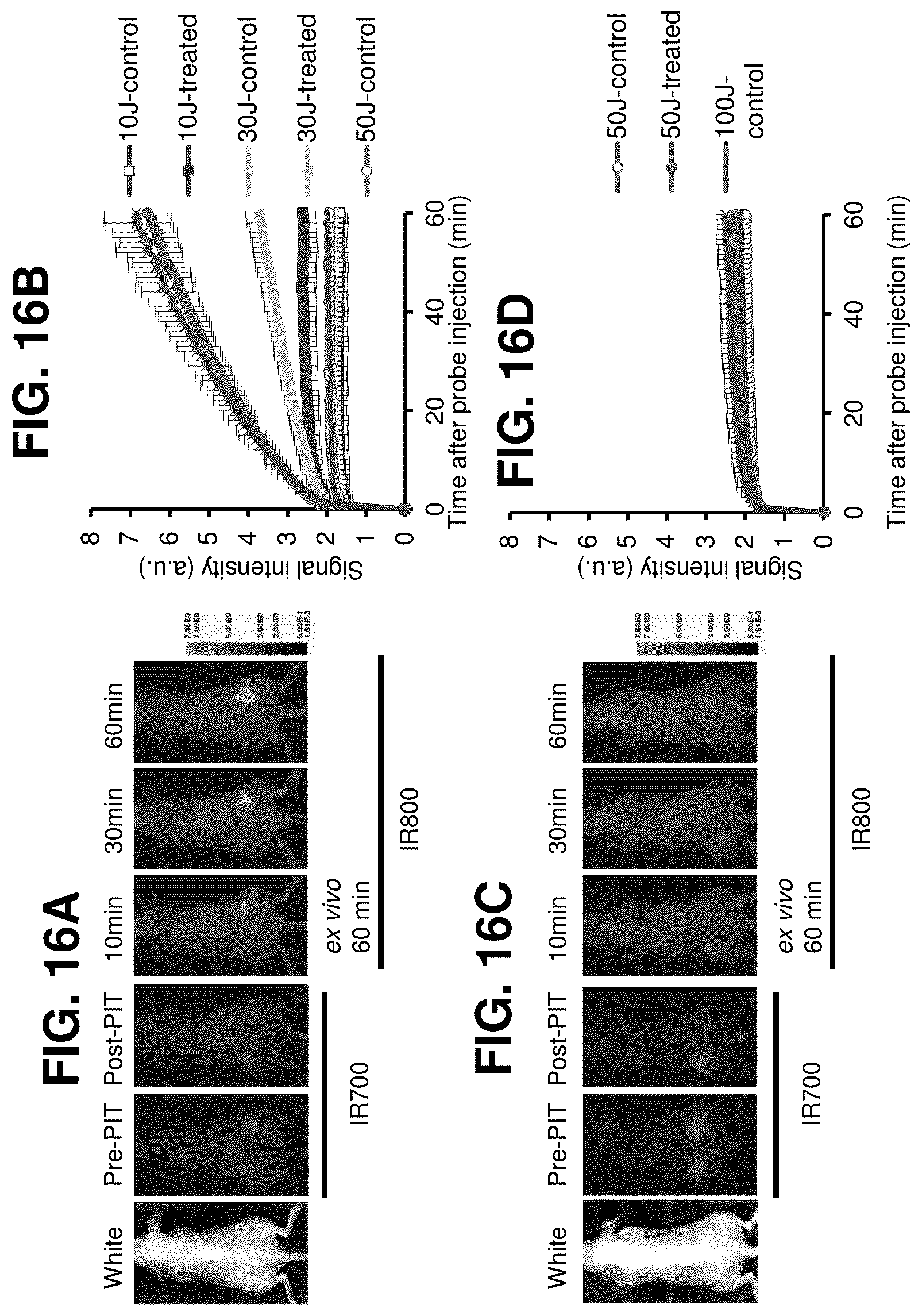 Patent US12616751 Figure 18 – Photosensitizing antibody-fluorophore conjugates