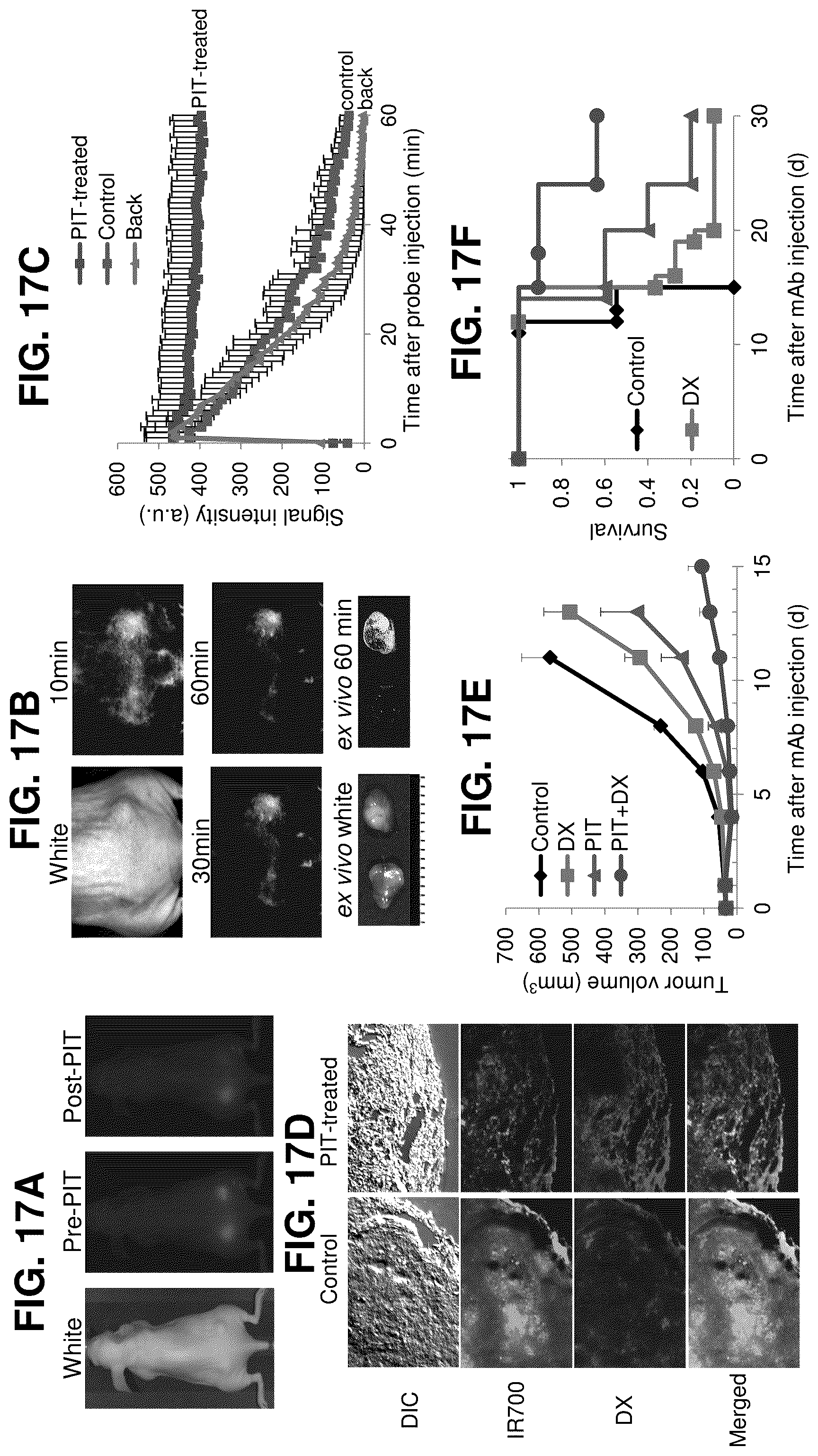 Patent US12616751 Figure 19 – Photosensitizing antibody-fluorophore conjugates