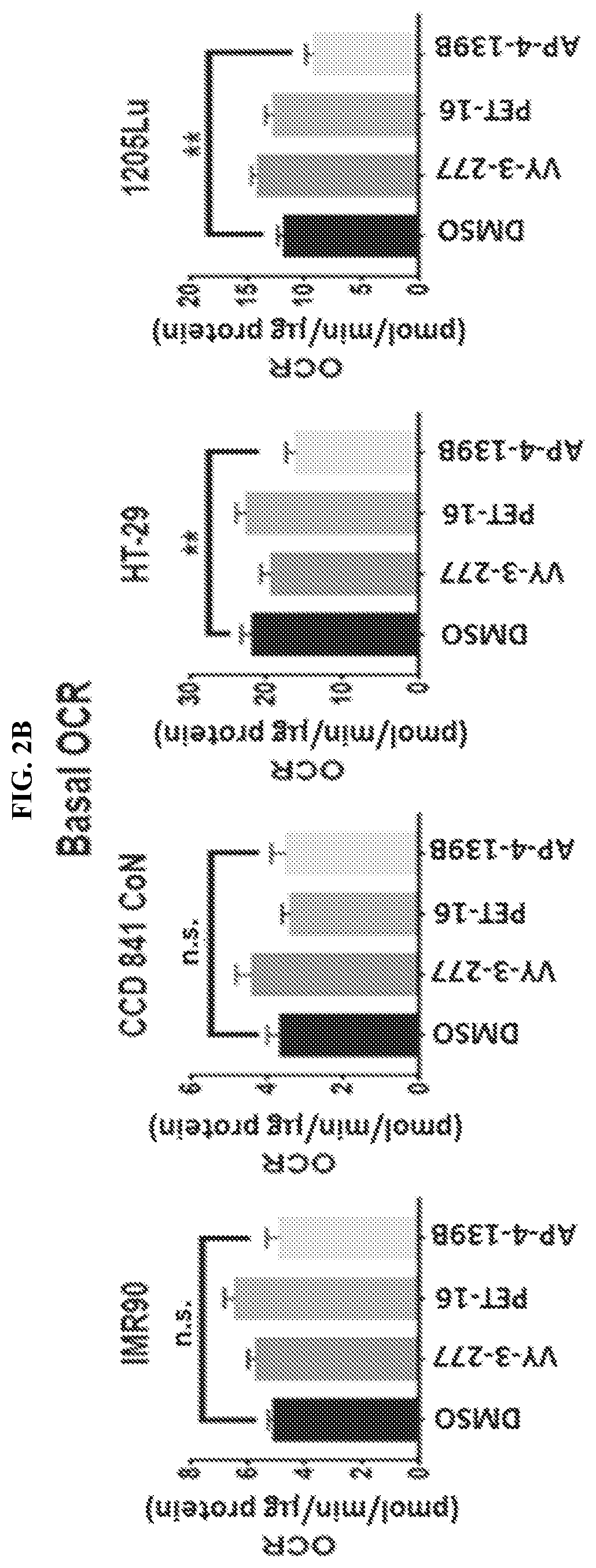 Patent US12616753 Figure 5 – HSP70 inhibitors and methods of using same