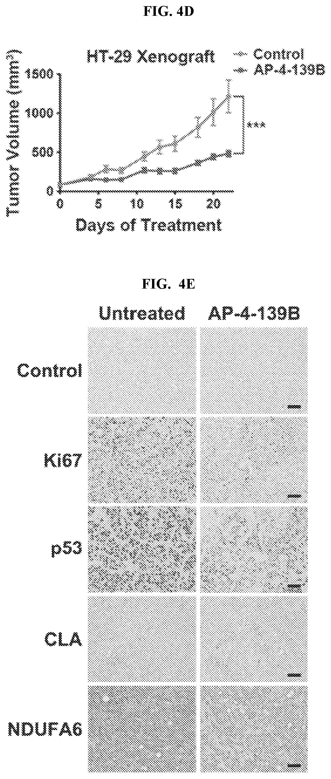 Patent US12616753 Figure 14 – HSP70 inhibitors and methods of using same