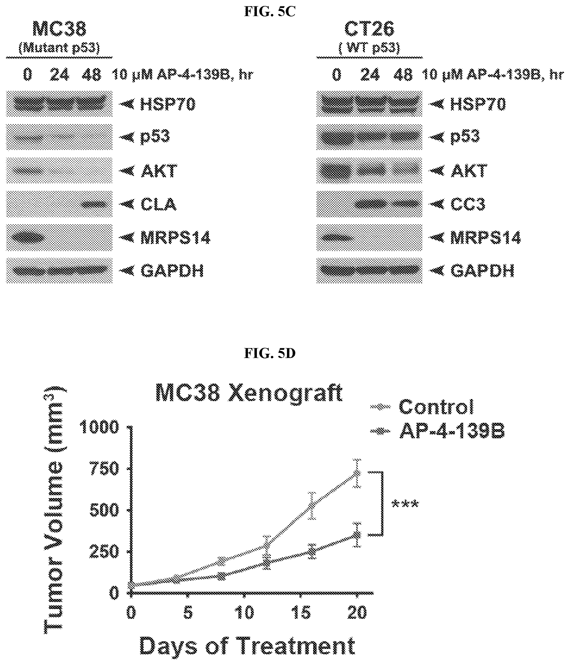 Patent US12616753 Figure 17 – HSP70 inhibitors and methods of using same