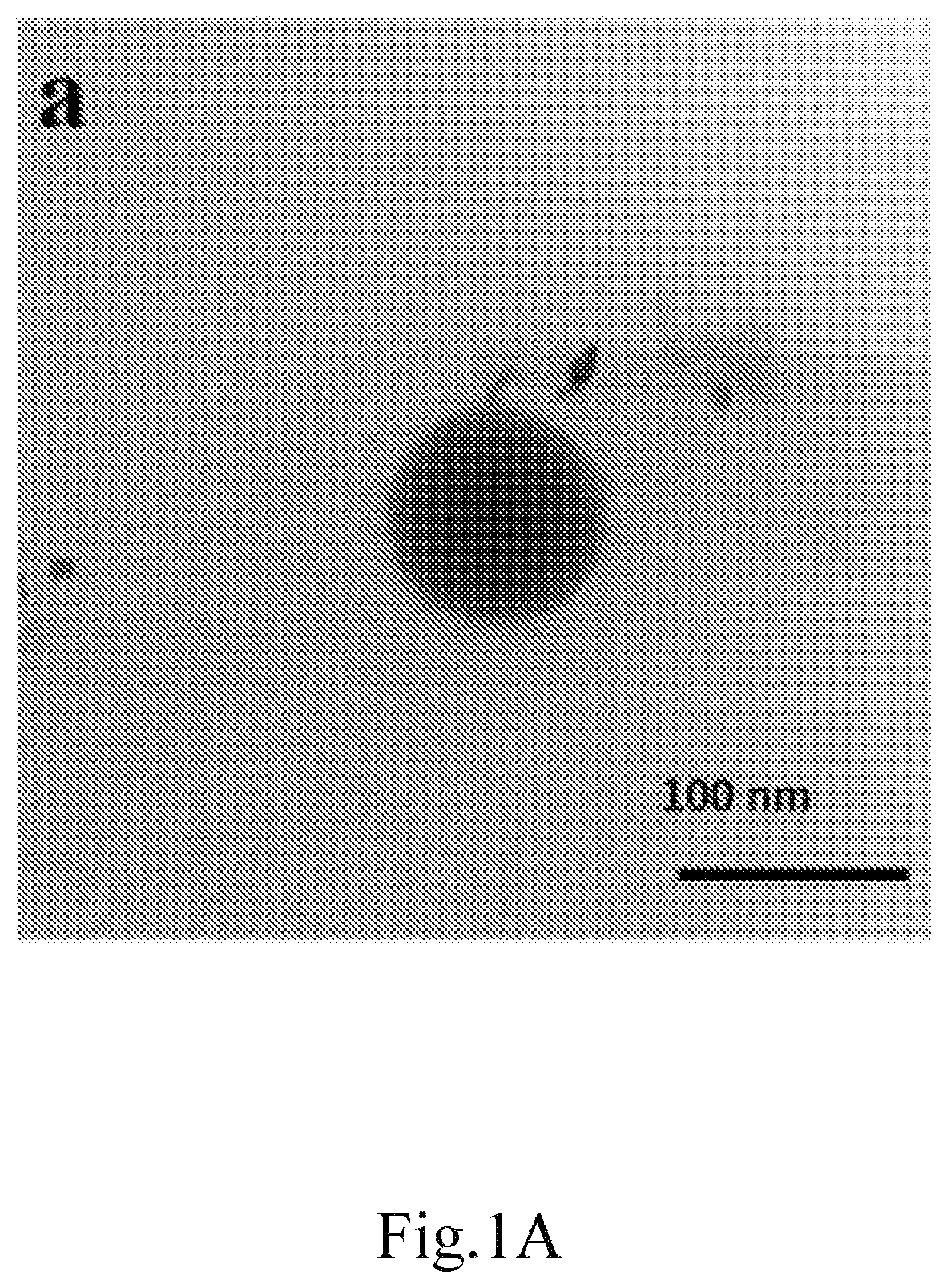 Patent US12616754 Figure 1 – Composition for delivery of a bioactive agent and method of manufacture and use thereof