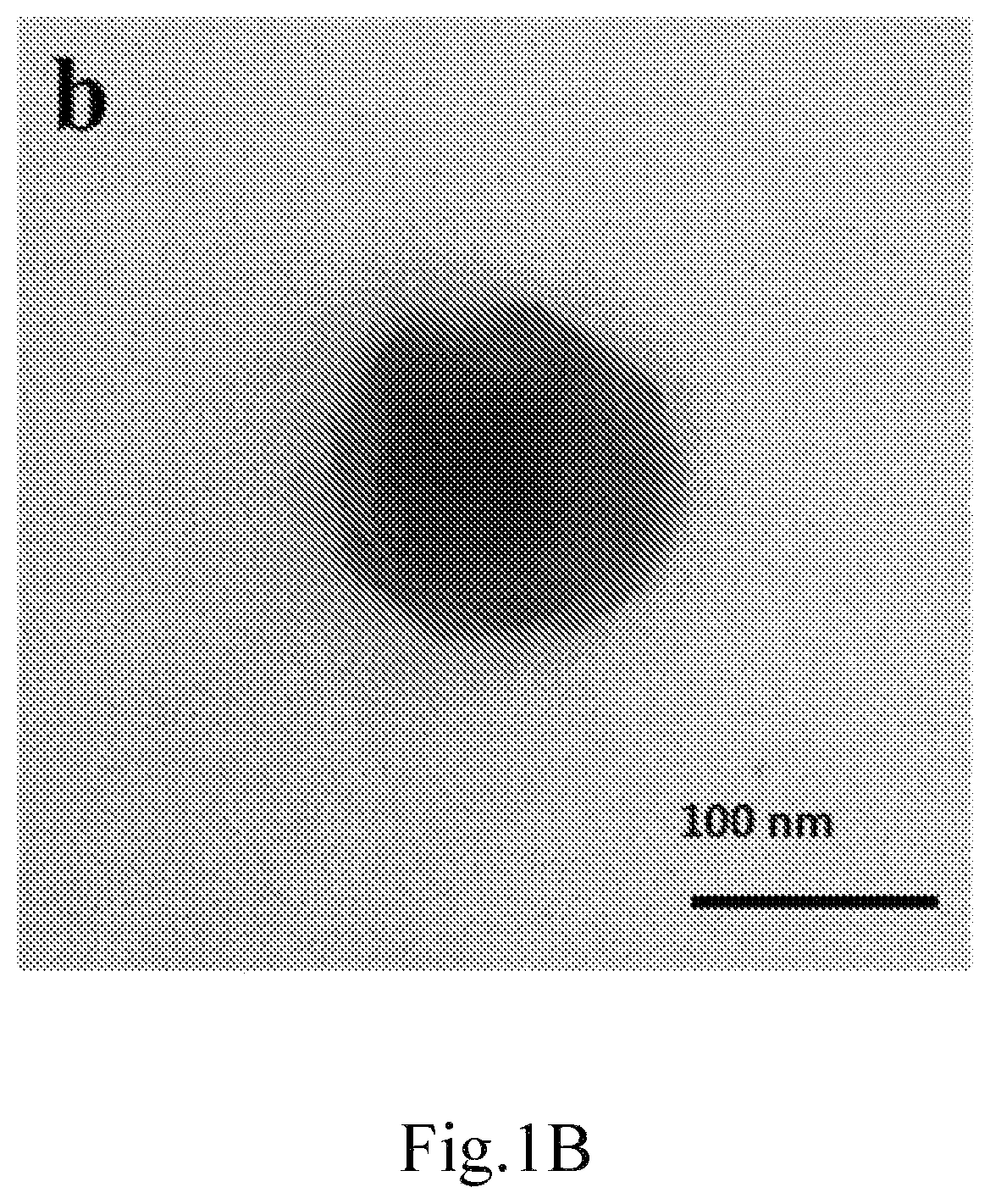 Patent US12616754 Figure 2 – Composition for delivery of a bioactive agent and method of manufacture and use thereof