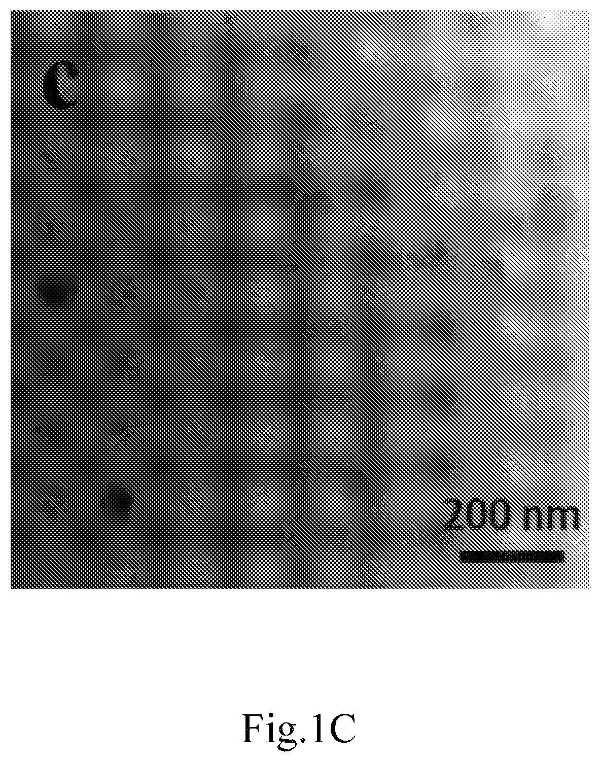 Patent US12616754 Figure 3 – Composition for delivery of a bioactive agent and method of manufacture and use thereof
