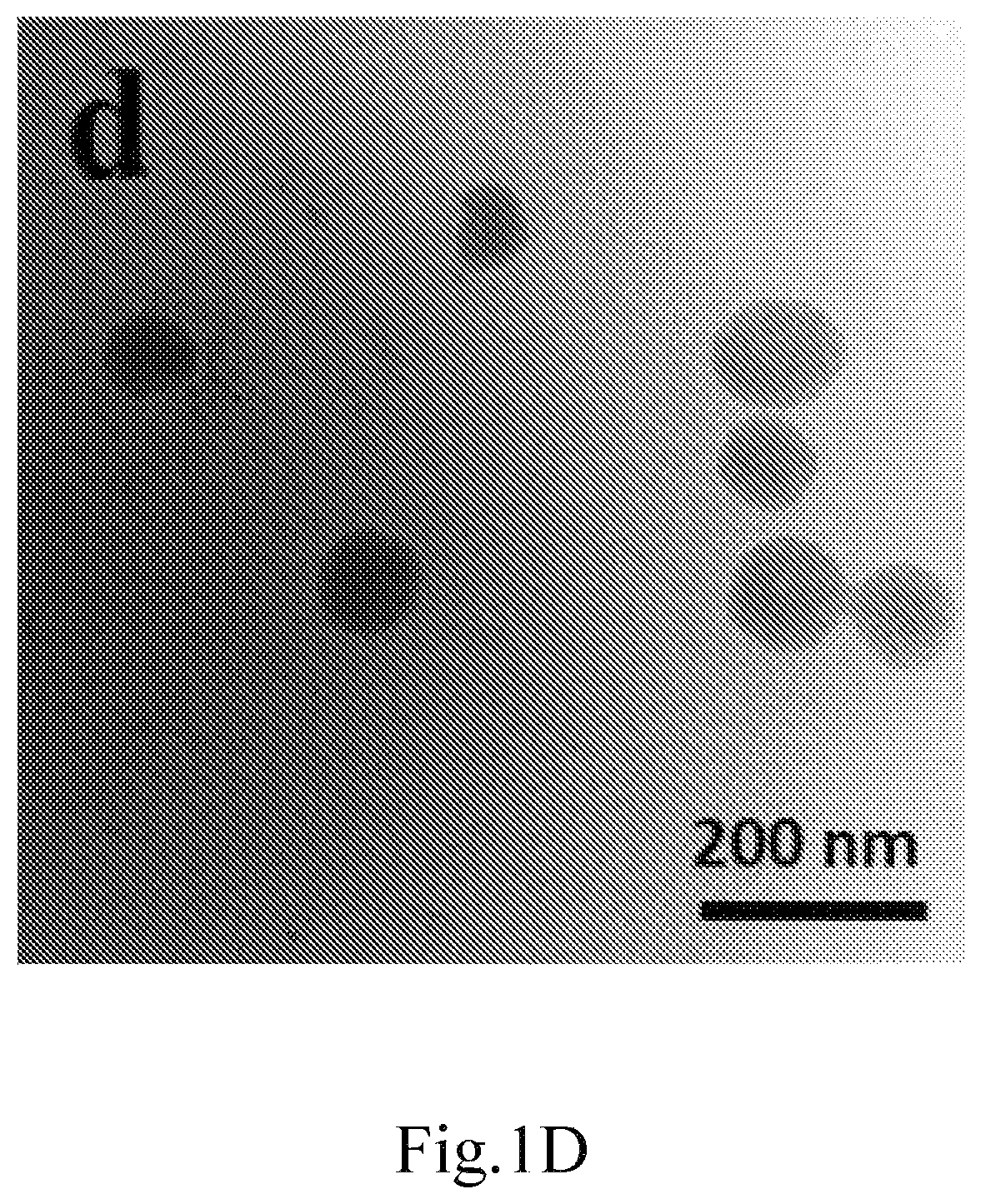 Patent US12616754 Figure 4 – Composition for delivery of a bioactive agent and method of manufacture and use thereof