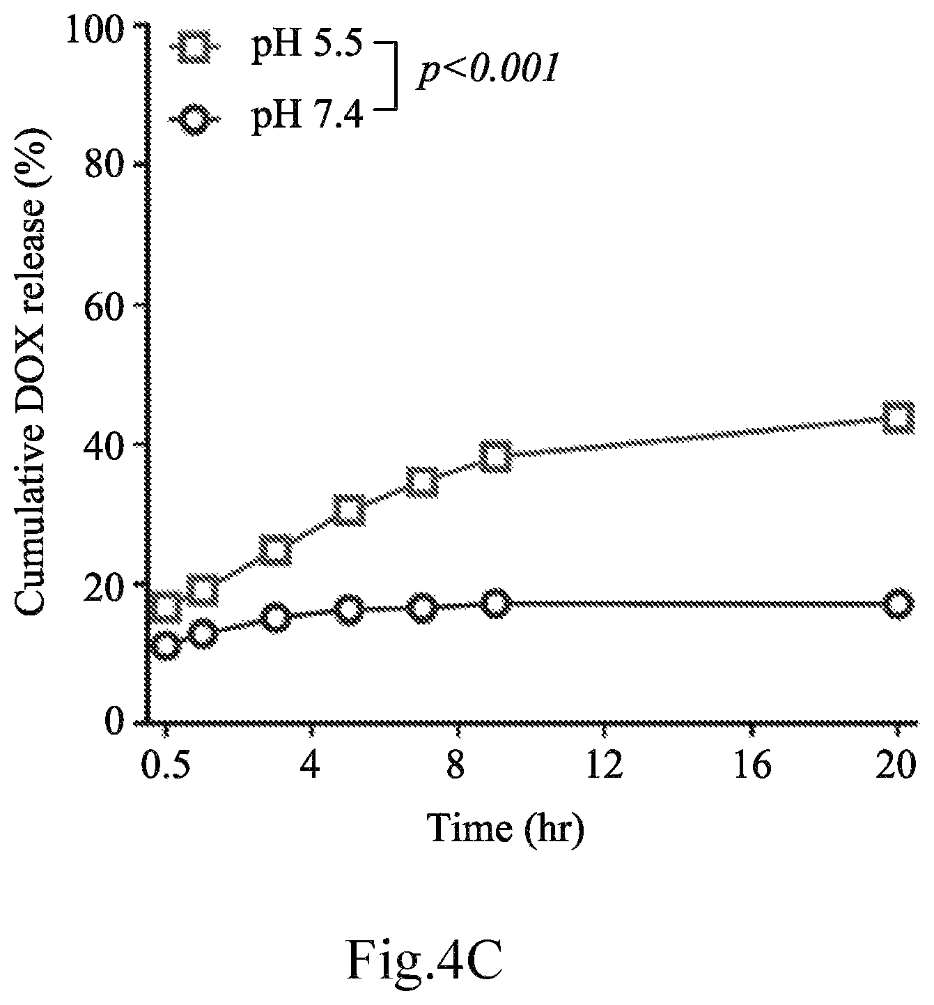 Patent US12616754 Figure 10 – Composition for delivery of a bioactive agent and method of manufacture and use thereof