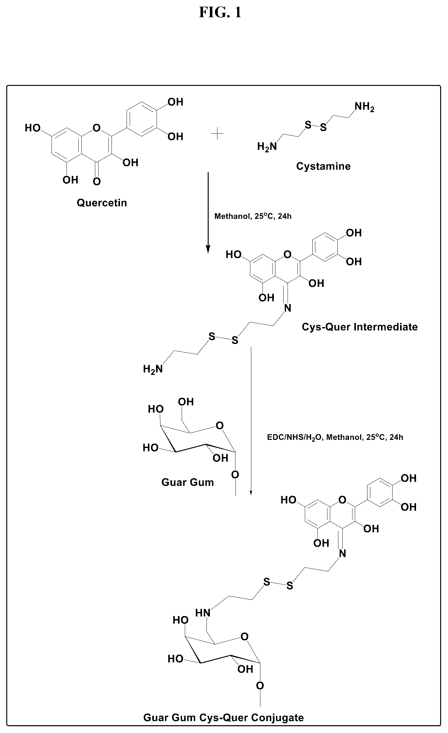 Patent US12616755 Figure 1 – Antifungal quercetin conjugates, methods of preparation and uses thereof