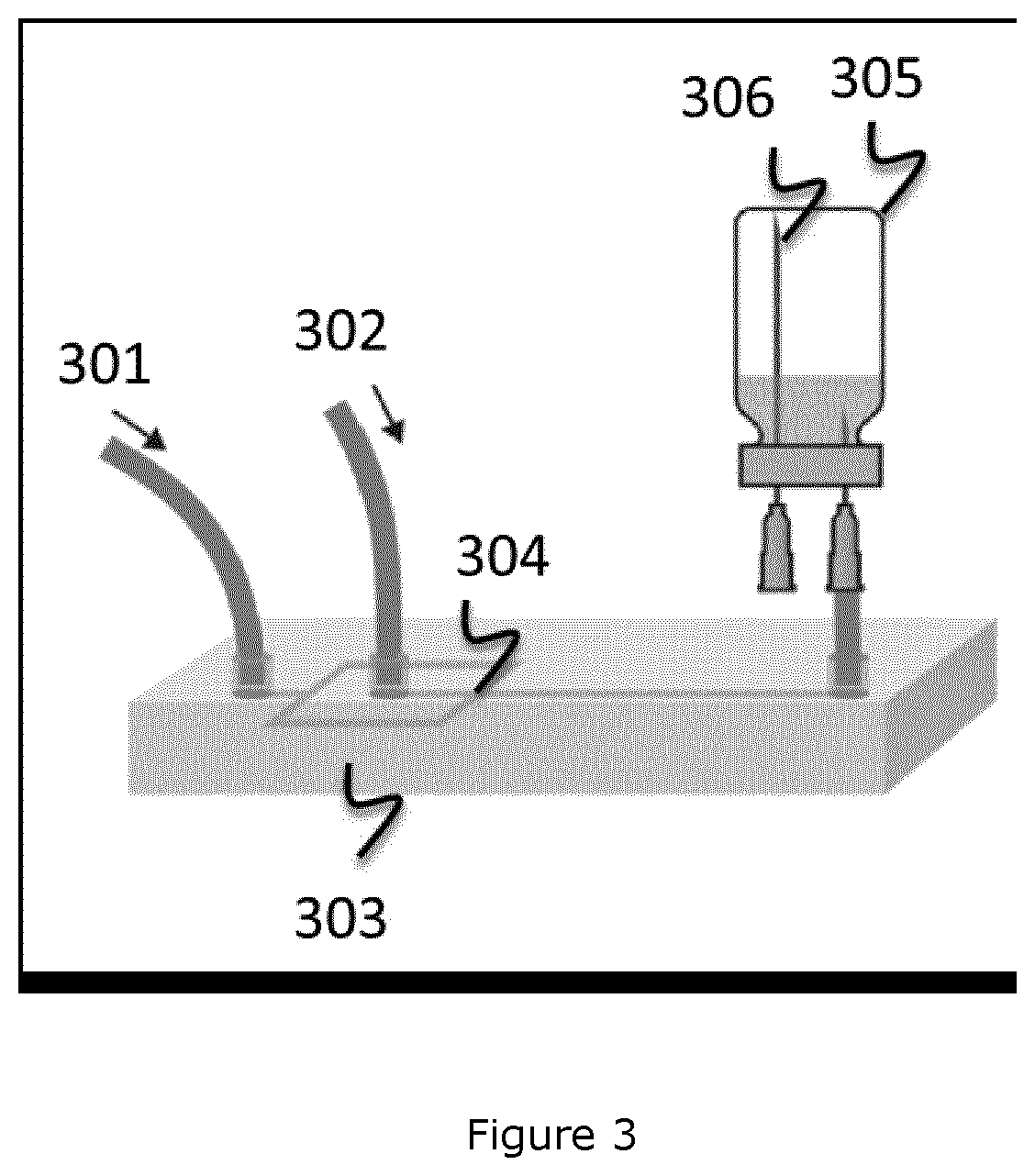 Patent US12616758 Figure 2 – Freeze-dried composition for preparing calibrated gas-filled microvesicles