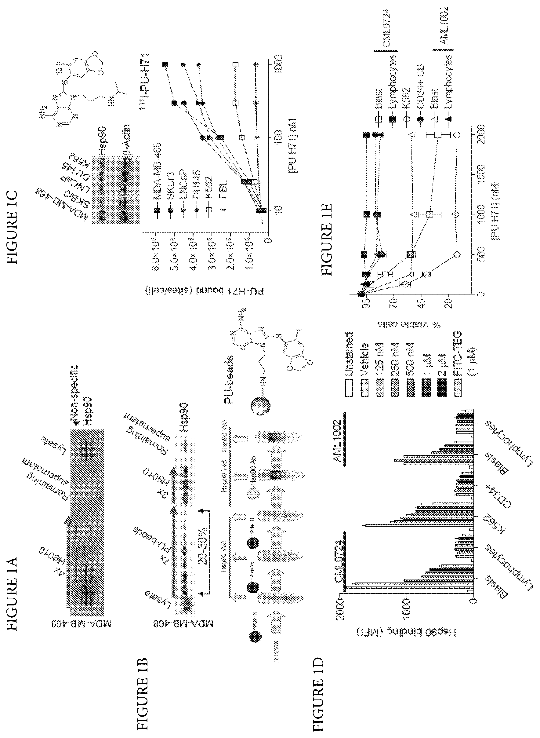 Patent US12616759 Figure 1 – Uses of labeled HSP90 inhibitors