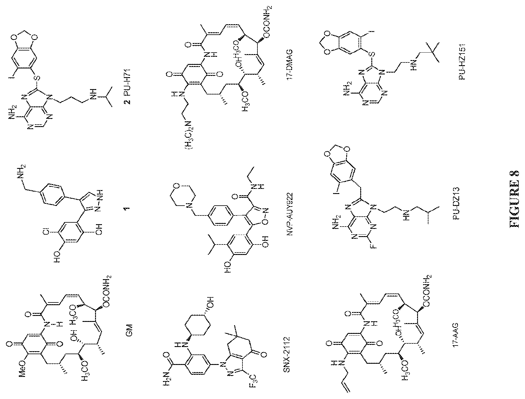 Patent US12616759 Figure 9 – Uses of labeled HSP90 inhibitors