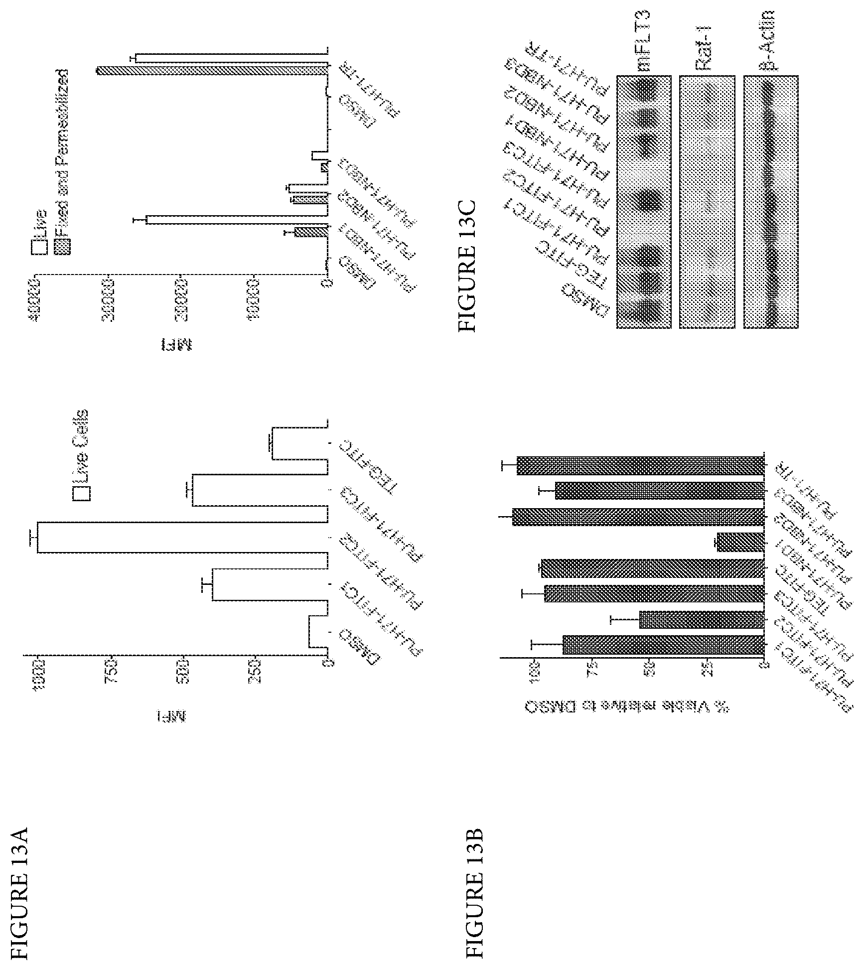 Patent US12616759 Figure 14 – Uses of labeled HSP90 inhibitors