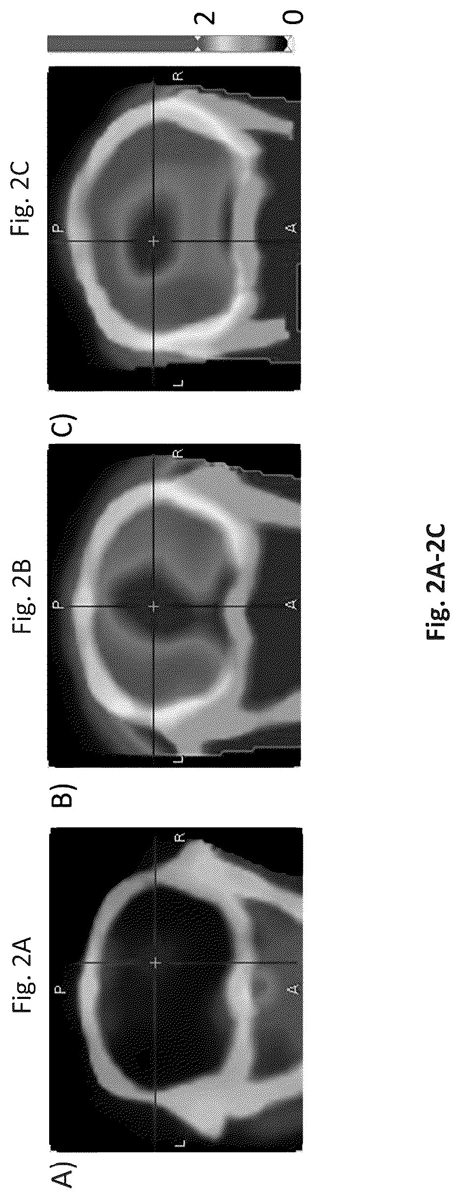 Patent US12616760 Figure 3 – Synthetic cyclic peptide mimetics