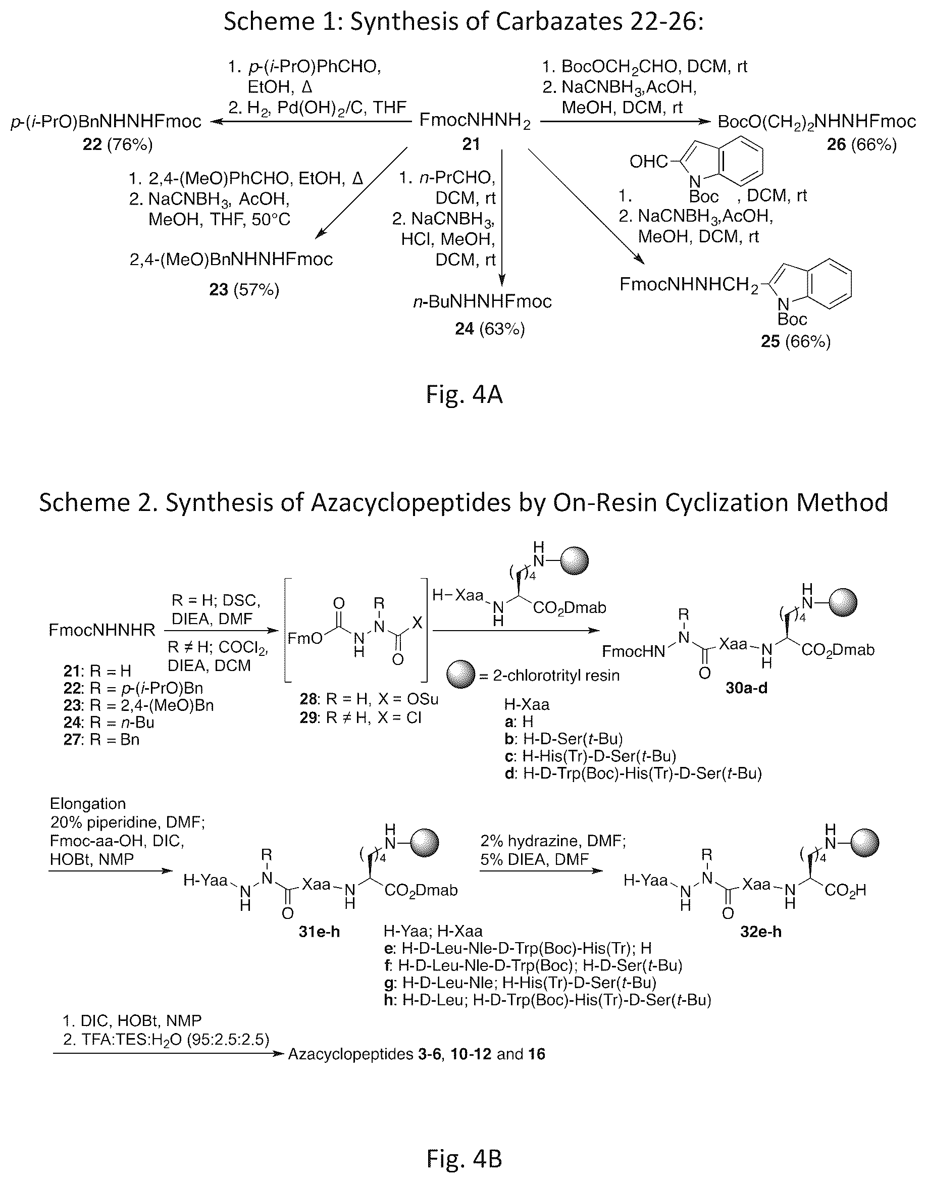 Patent US12616760 Figure 6 – Synthetic cyclic peptide mimetics