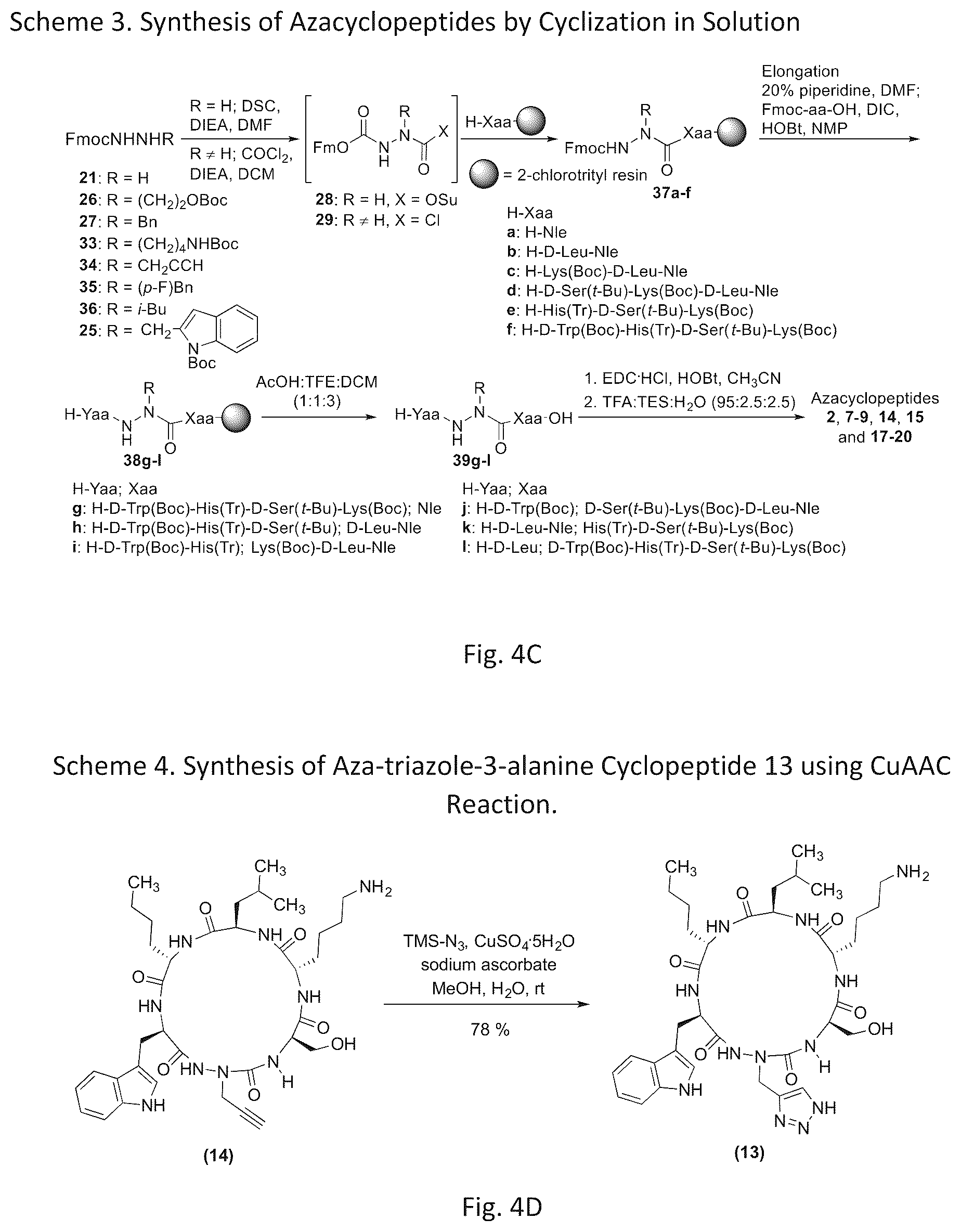 Patent US12616760 Figure 7 – Synthetic cyclic peptide mimetics