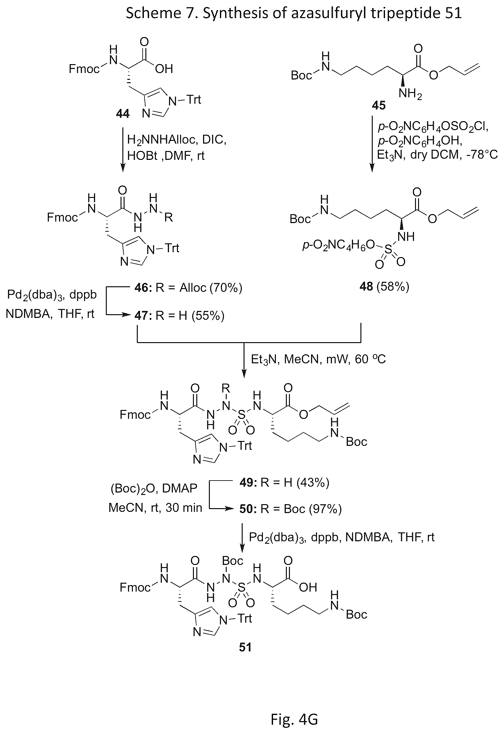 Patent US12616760 Figure 10 – Synthetic cyclic peptide mimetics