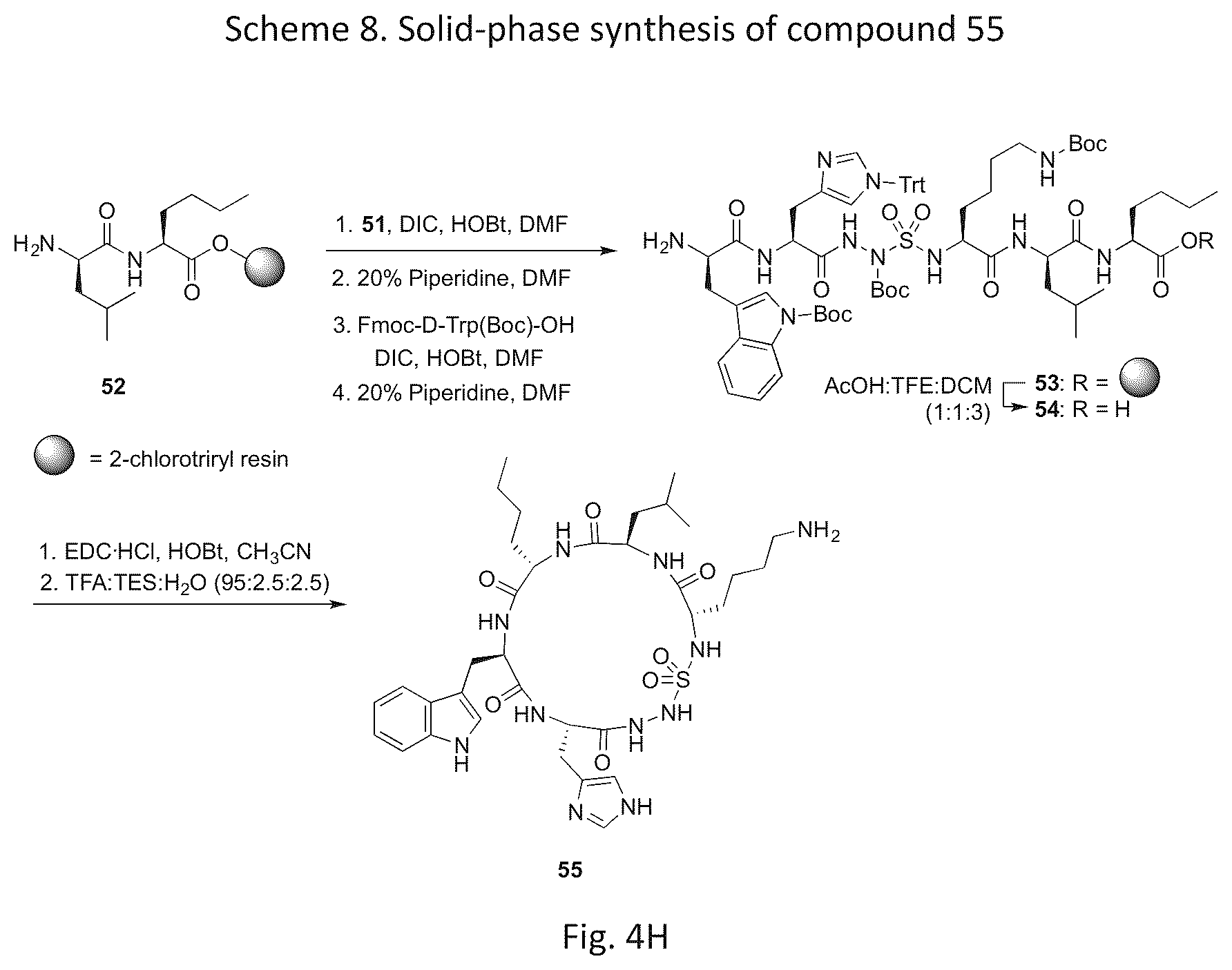 Patent US12616760 Figure 11 – Synthetic cyclic peptide mimetics