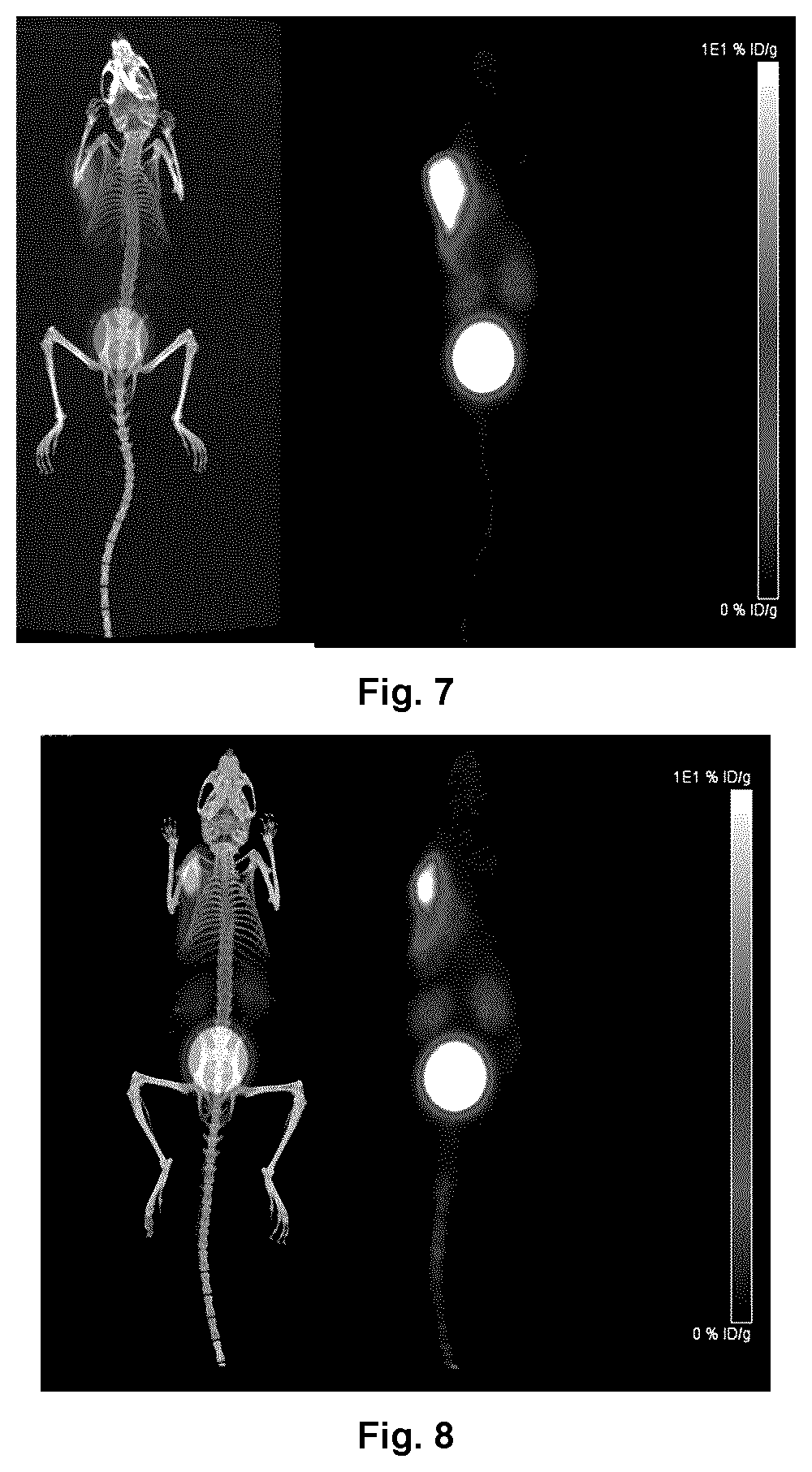 Patent US12616761 Figure 4 – CXCR4-targeting compounds