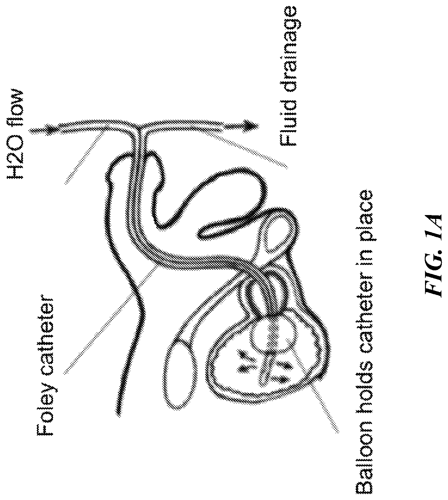 Patent US12616771 Figure 1 – Tissue adherent chitosan material that resists dissolution