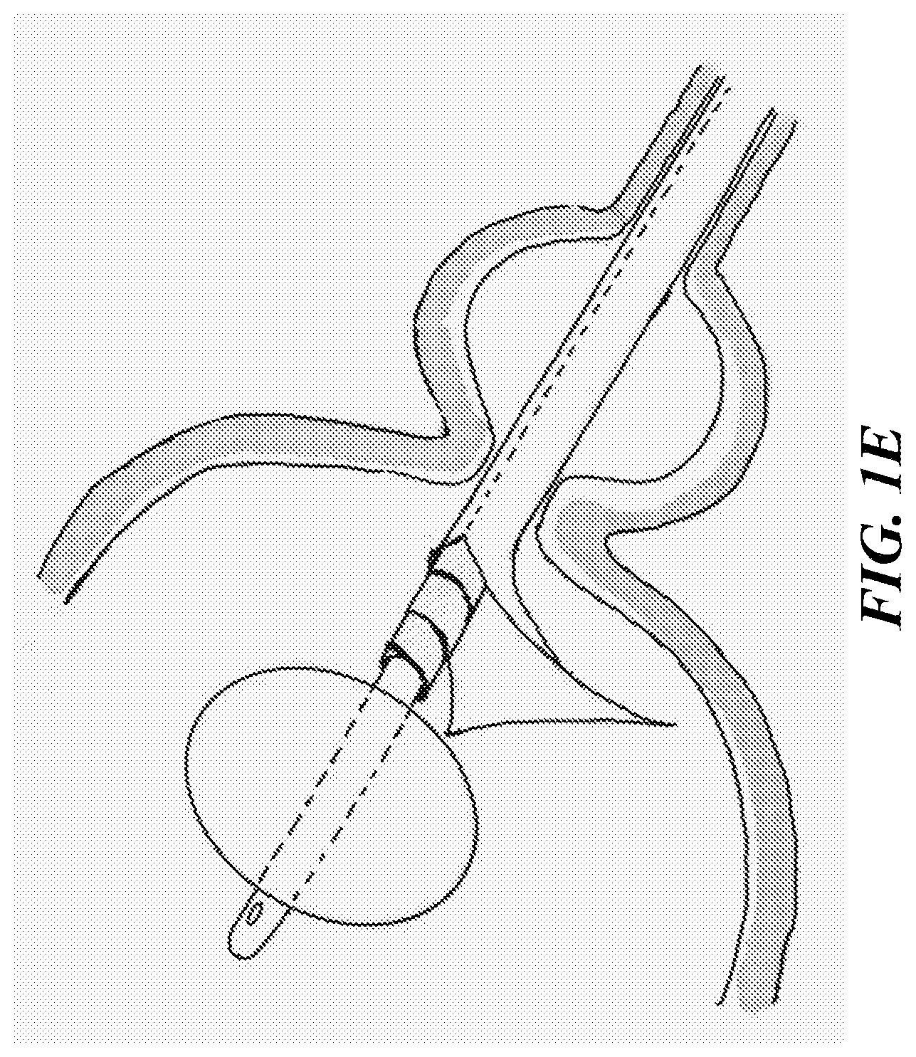 Patent US12616771 Figure 5 – Tissue adherent chitosan material that resists dissolution