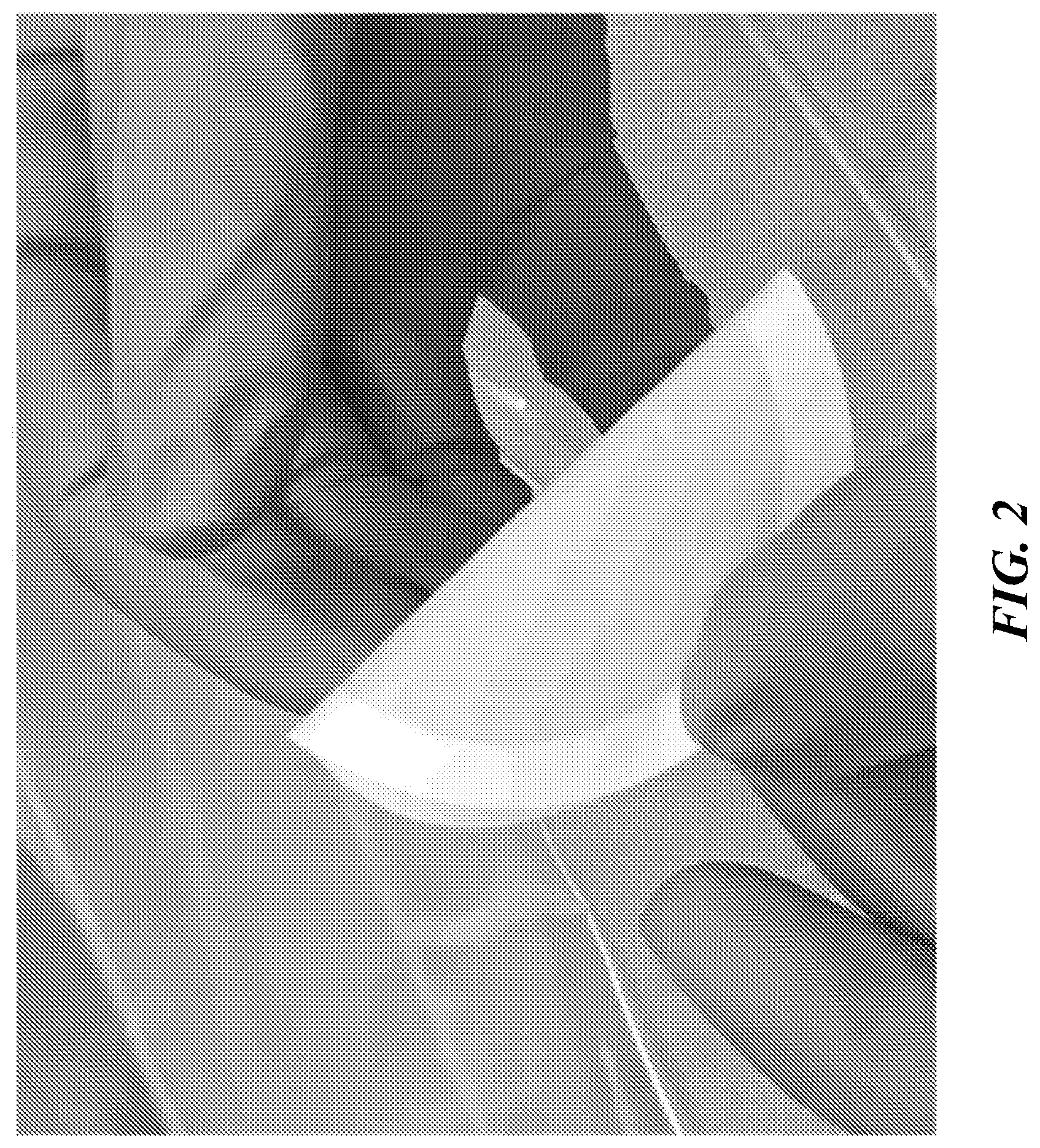 Patent US12616771 Figure 8 – Tissue adherent chitosan material that resists dissolution