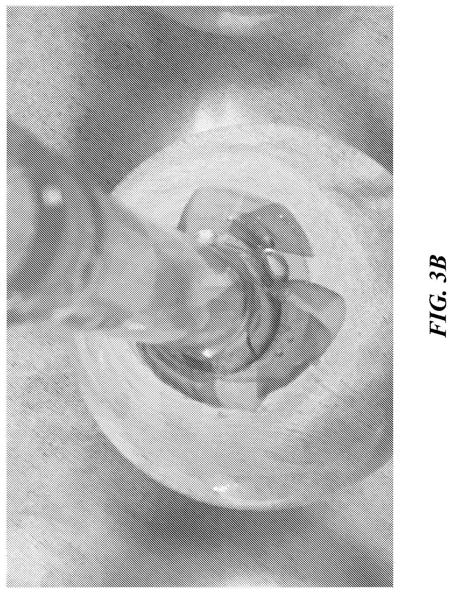 Patent US12616771 Figure 10 – Tissue adherent chitosan material that resists dissolution