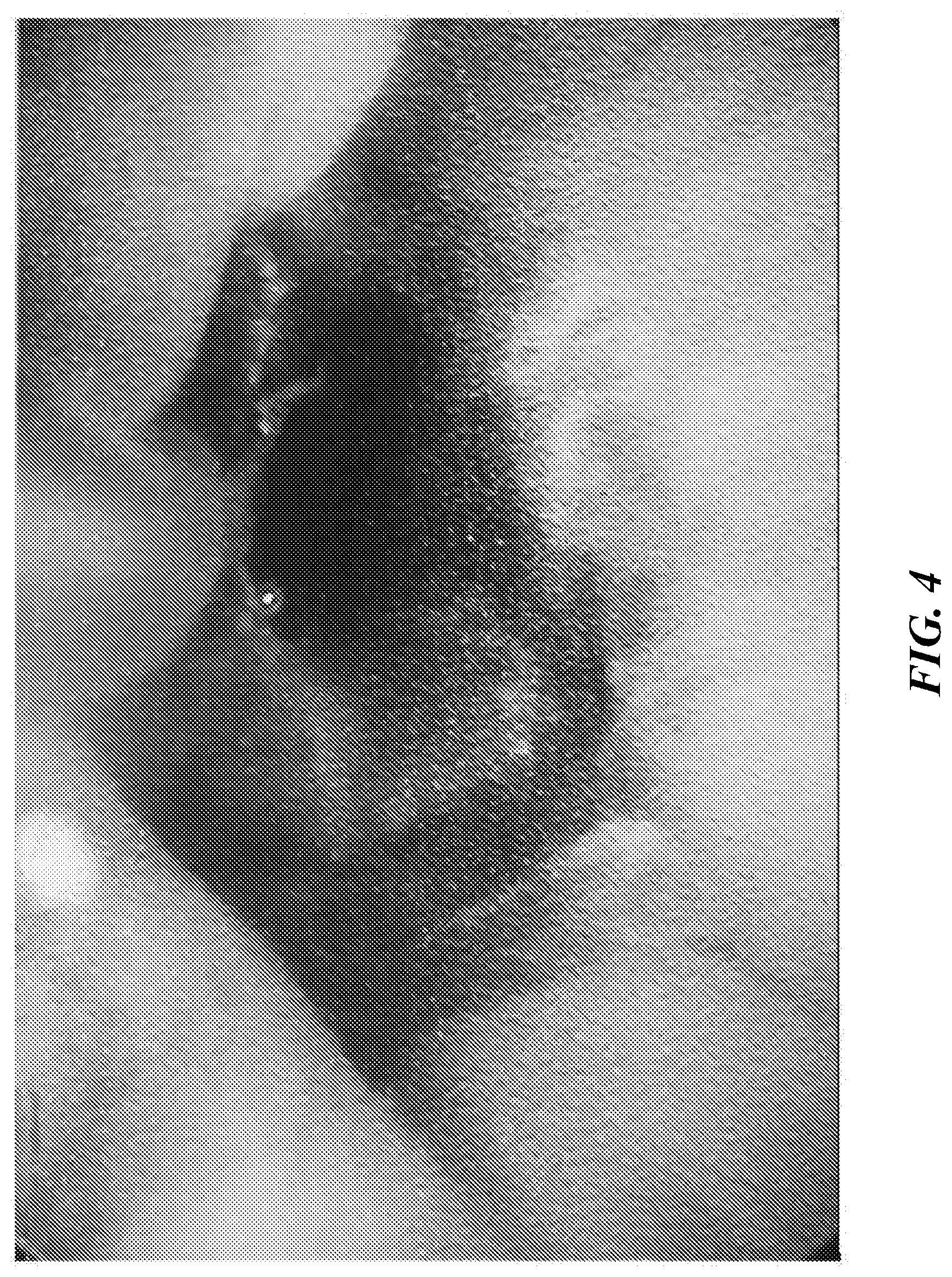 Patent US12616771 Figure 11 – Tissue adherent chitosan material that resists dissolution