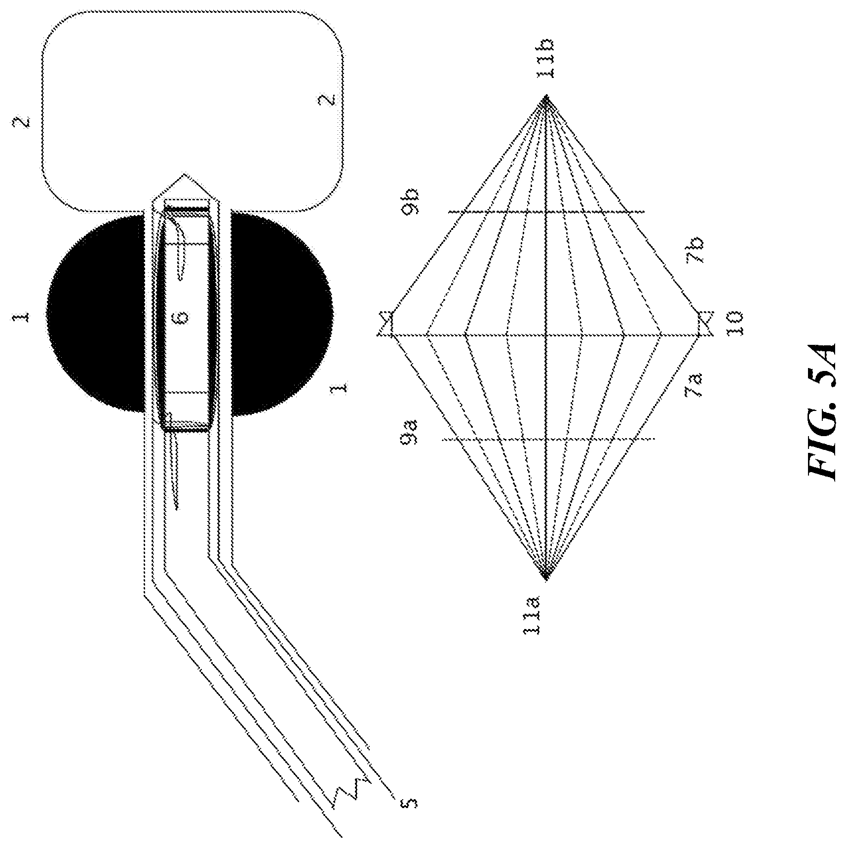 Patent US12616771 Figure 12 – Tissue adherent chitosan material that resists dissolution