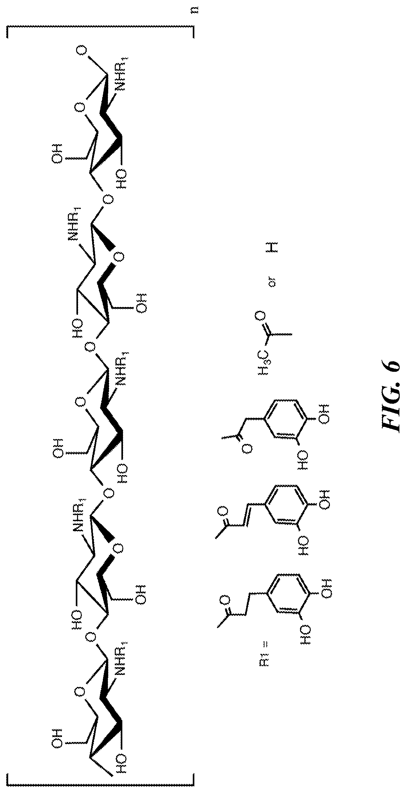 Patent US12616771 Figure 14 – Tissue adherent chitosan material that resists dissolution