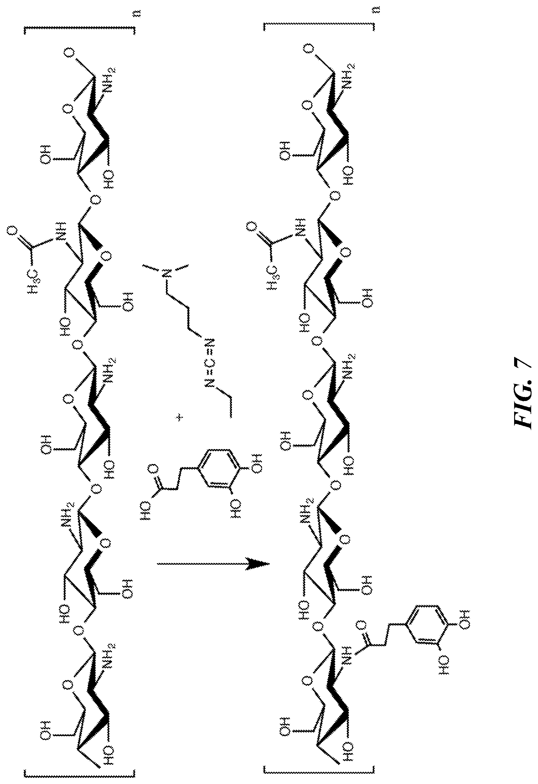 Patent US12616771 Figure 15 – Tissue adherent chitosan material that resists dissolution