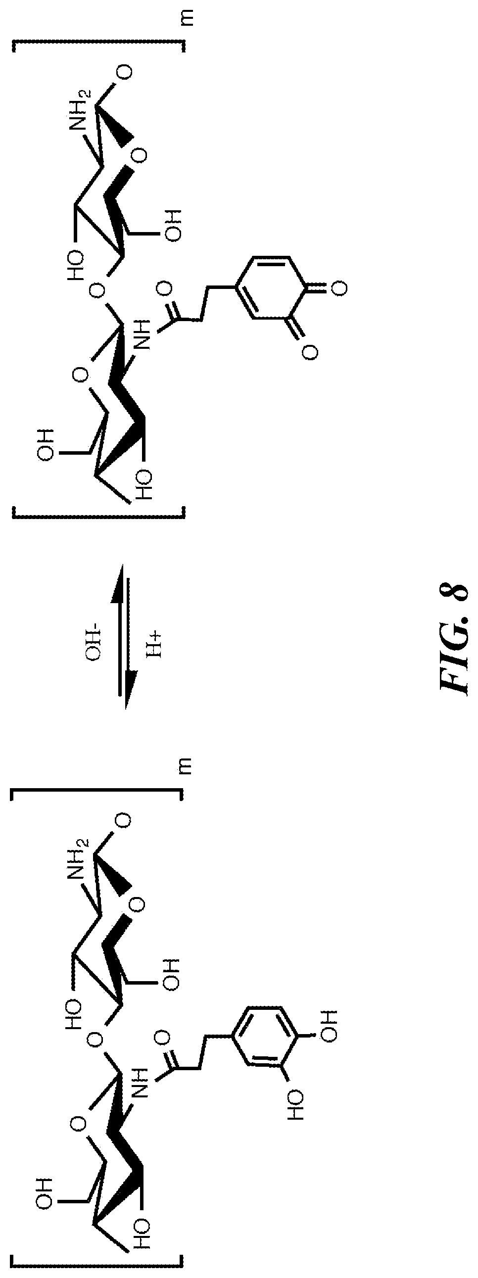 Patent US12616771 Figure 16 – Tissue adherent chitosan material that resists dissolution