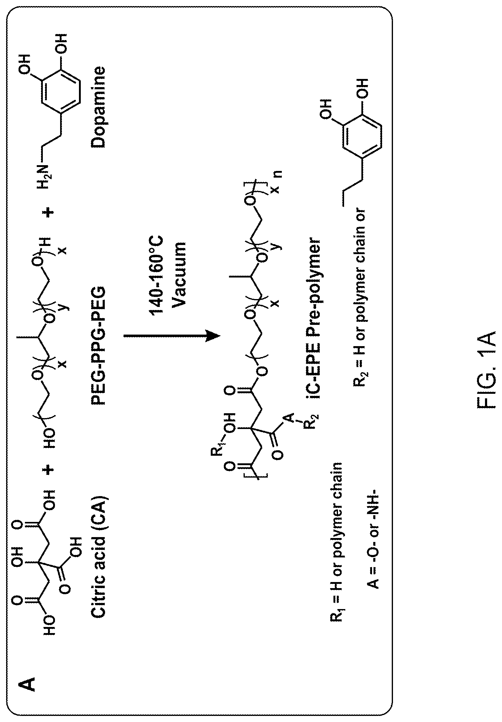 Patent US12616773 — Bioadhesive compositions and methods of making the same — Figure 1