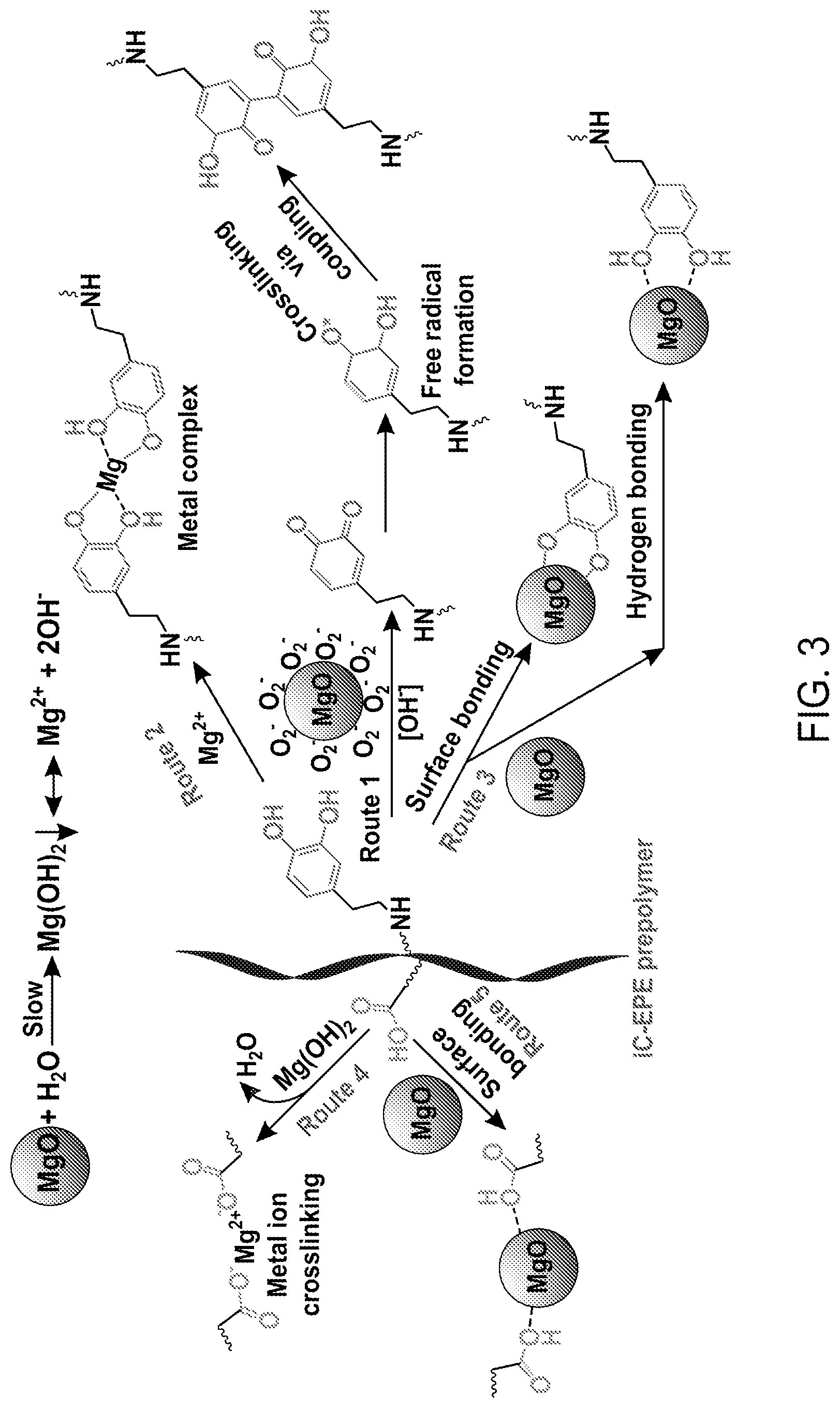 Patent US12616773 Figure 5 – Bioadhesive compositions and methods of making the same